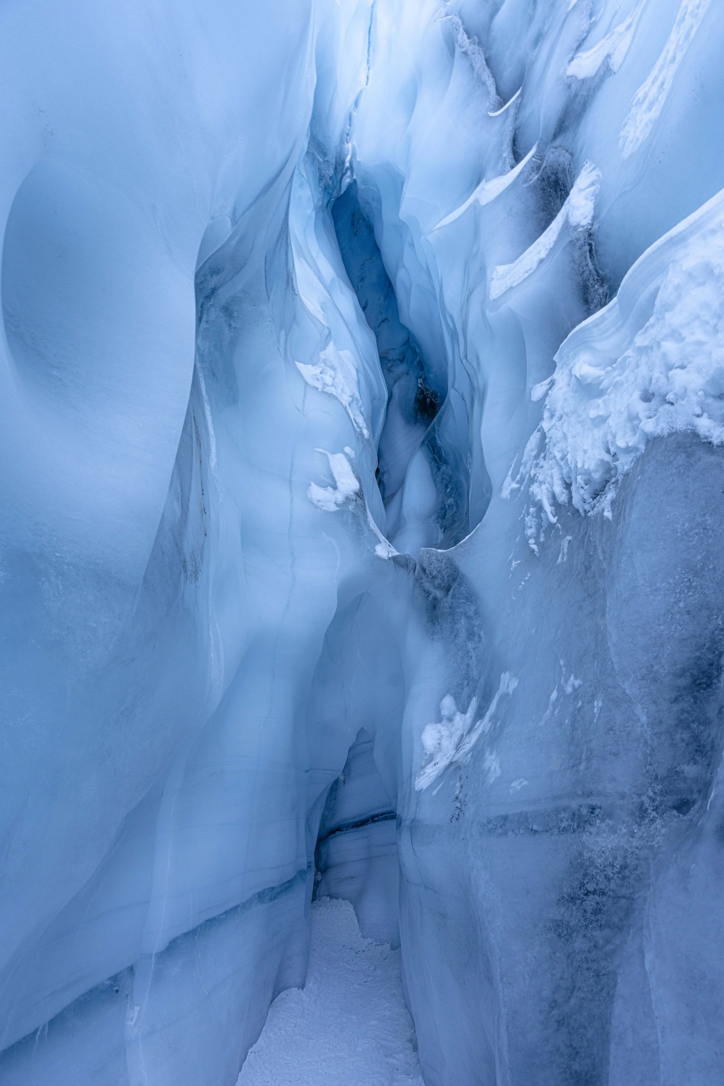Alaska2026-533.jpg