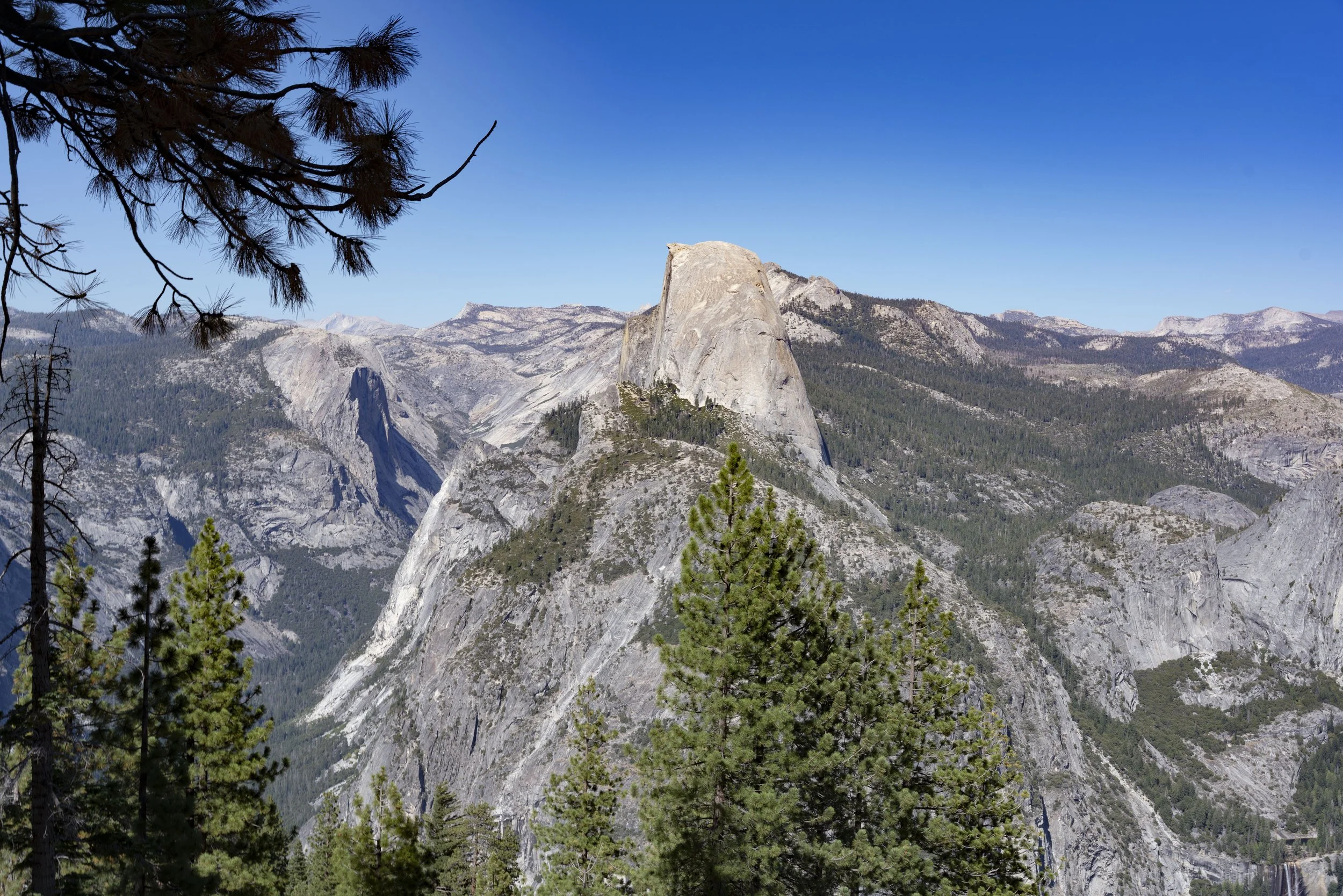 Yosemite(Aug1-3)-143.jpg