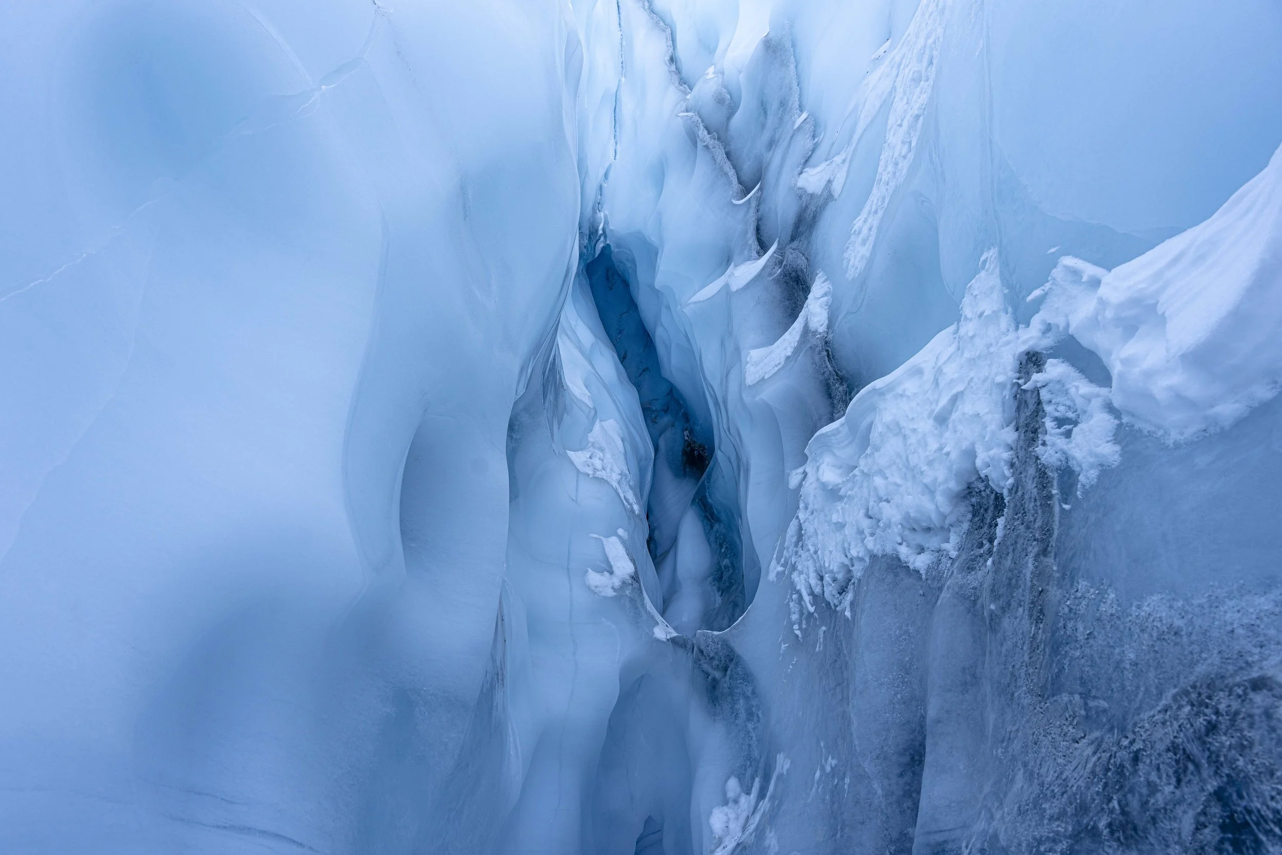 Alaska2026-536.jpg