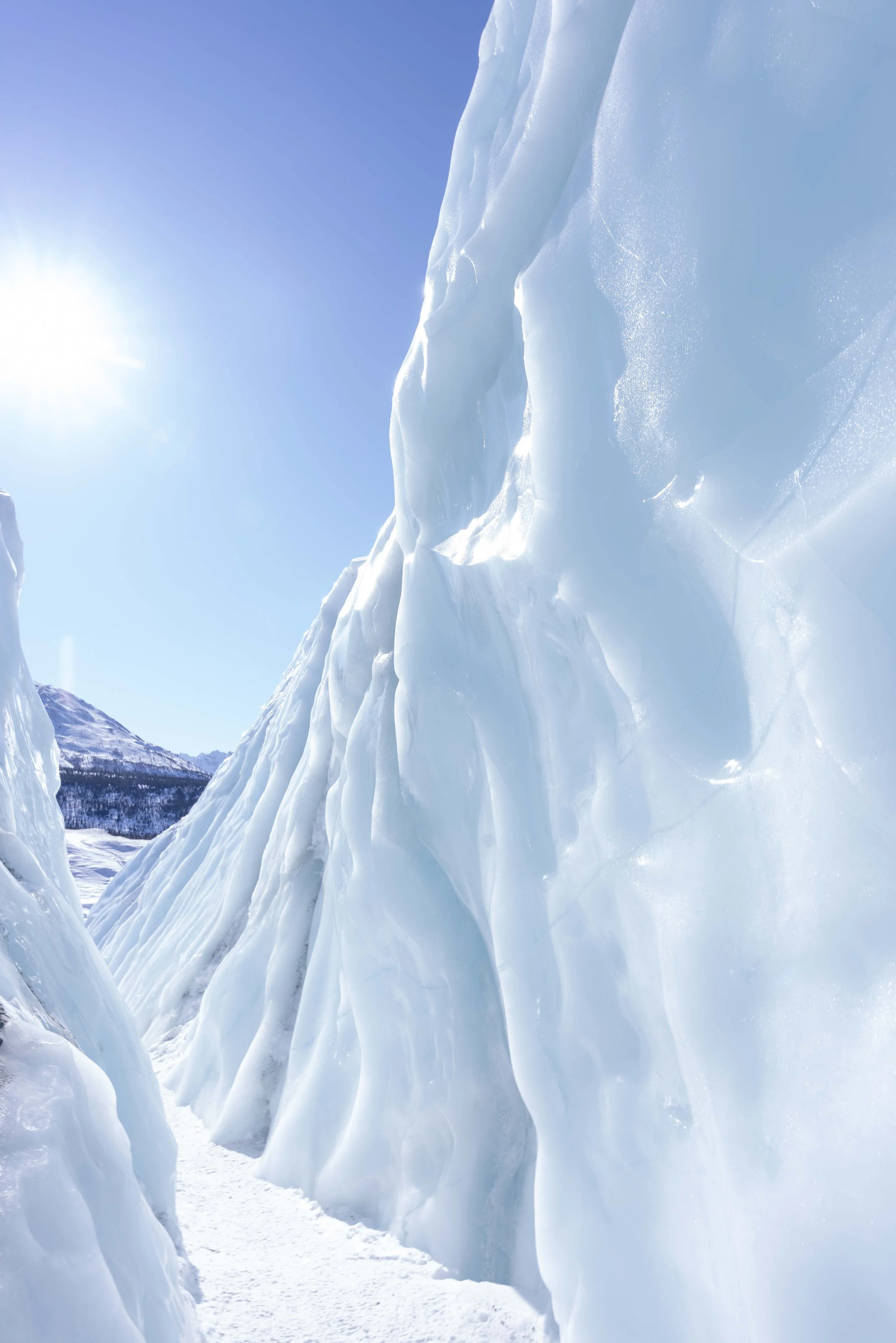 Alaska2026-347.jpg
