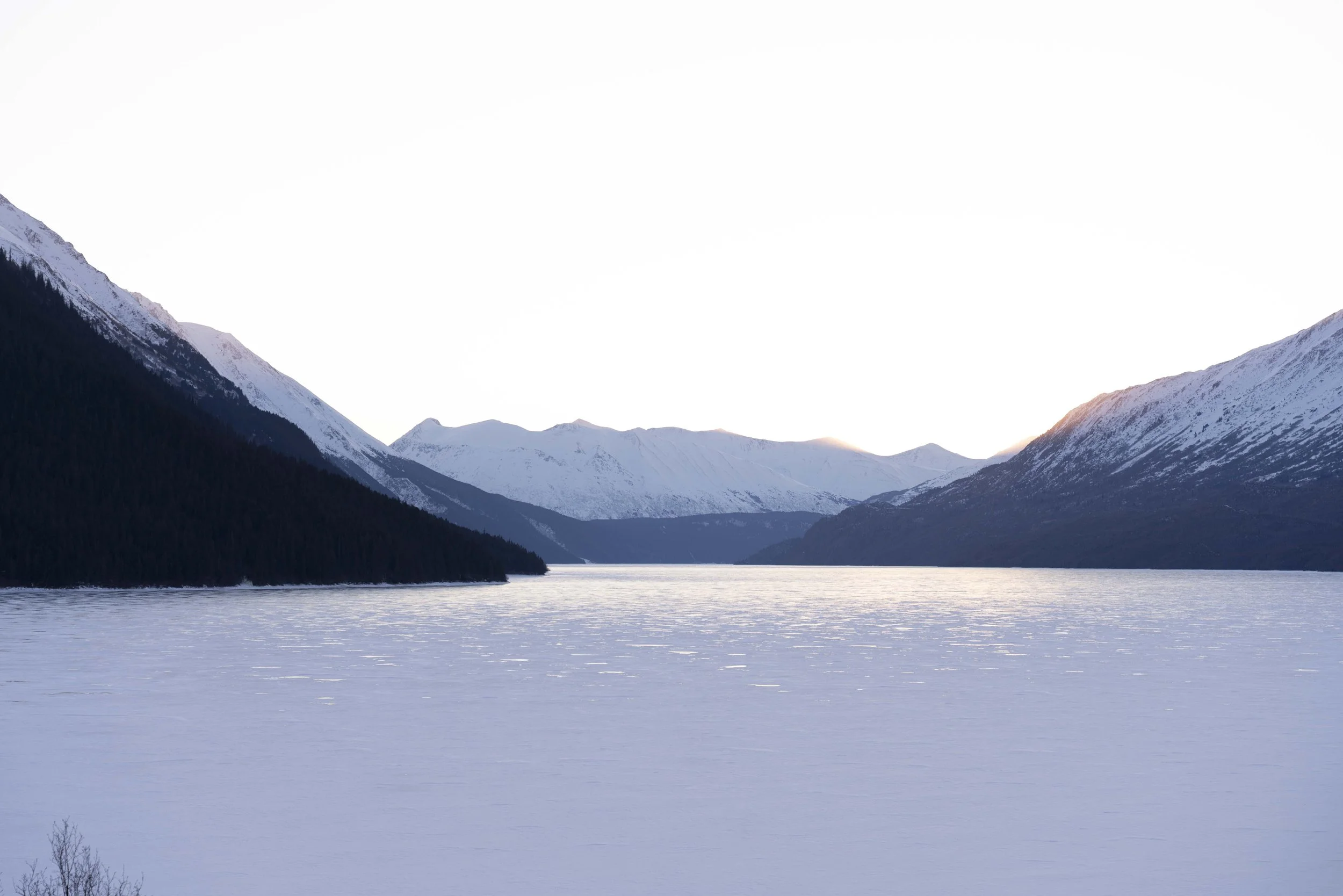 Alaska2026-229.jpg