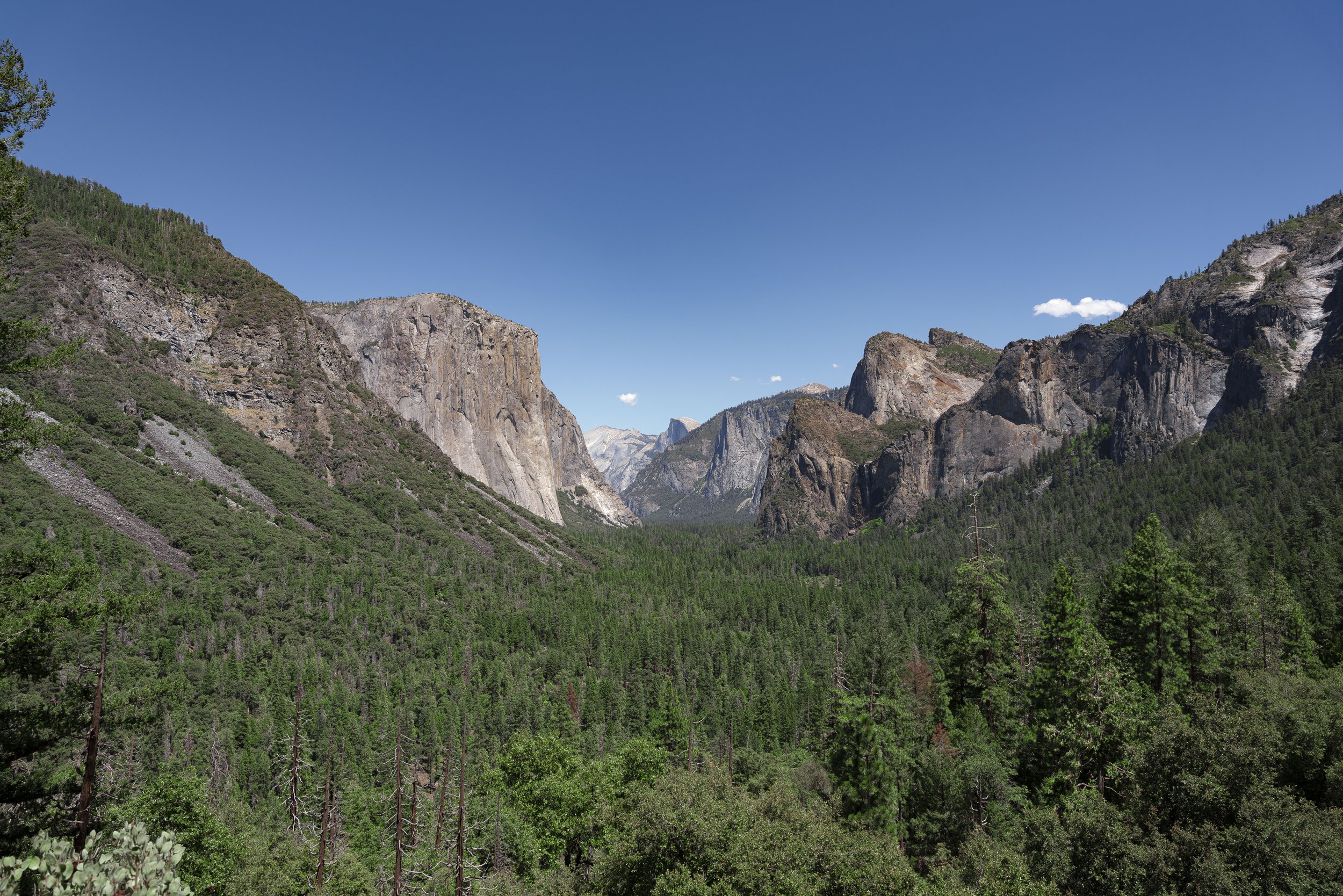 Yosemite(Aug1-3)-9.jpg