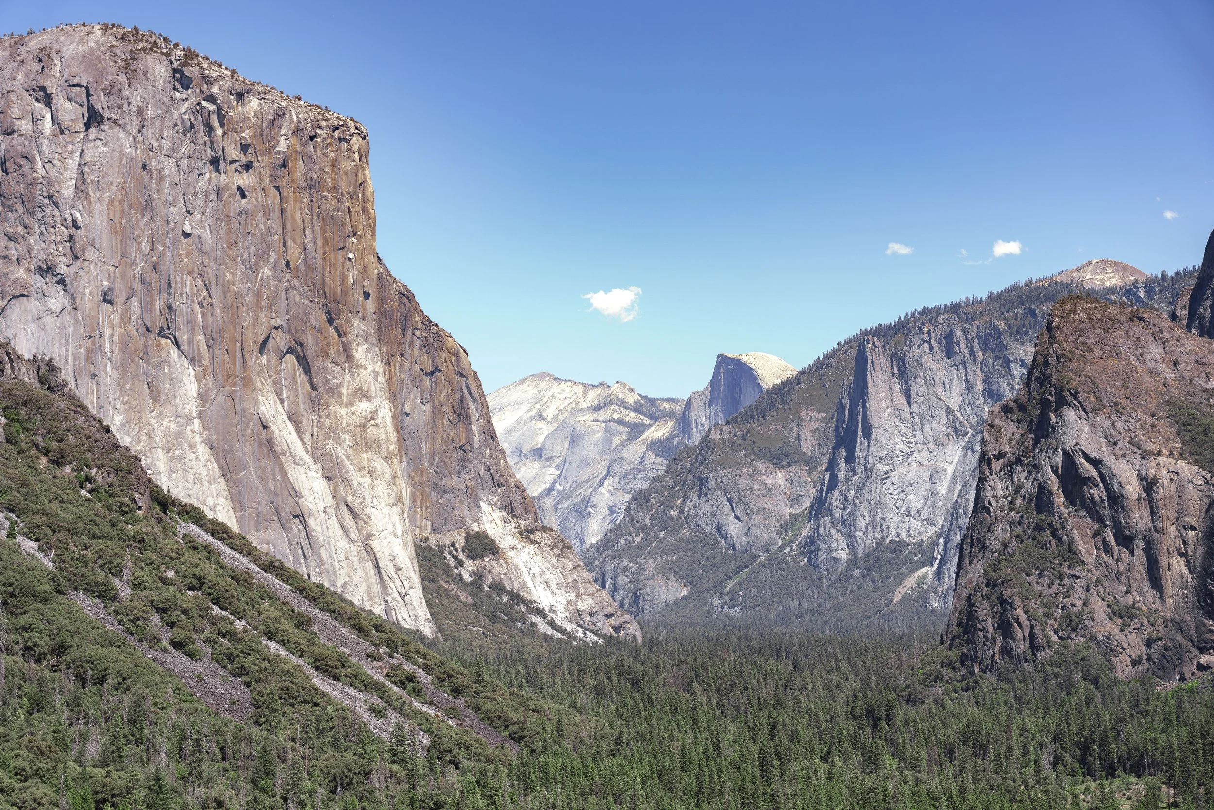 Yosemite(Aug1-3)-7.jpg