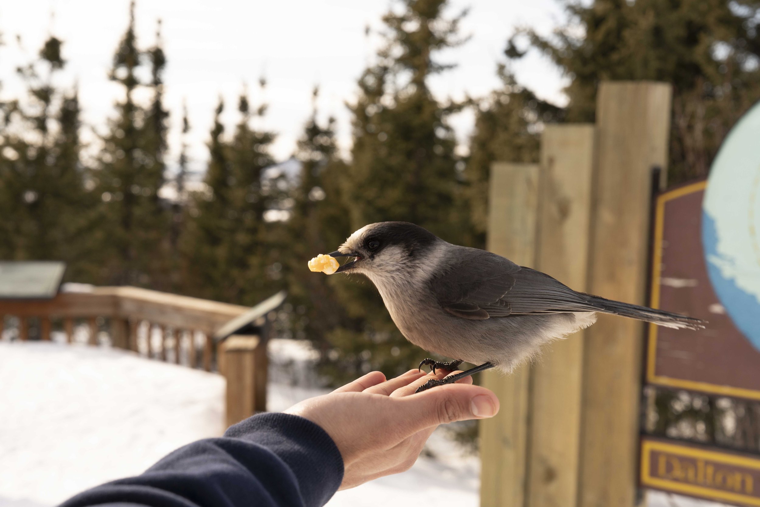 Alaska-350.jpg