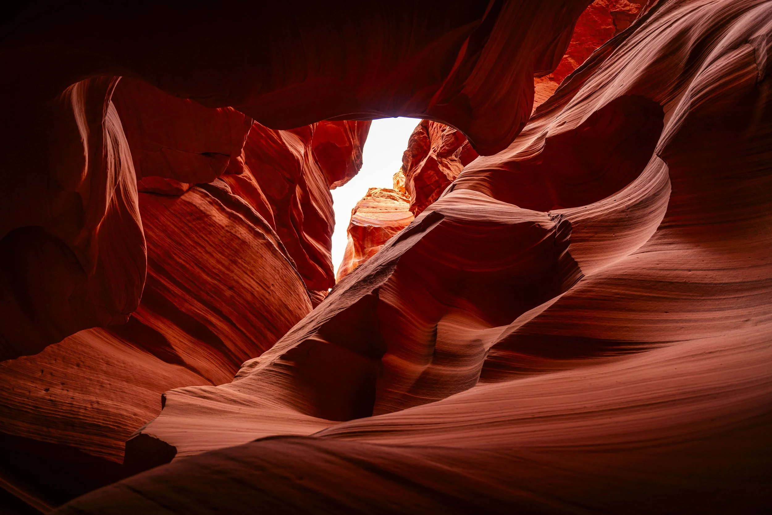Arizona2025-93.jpg