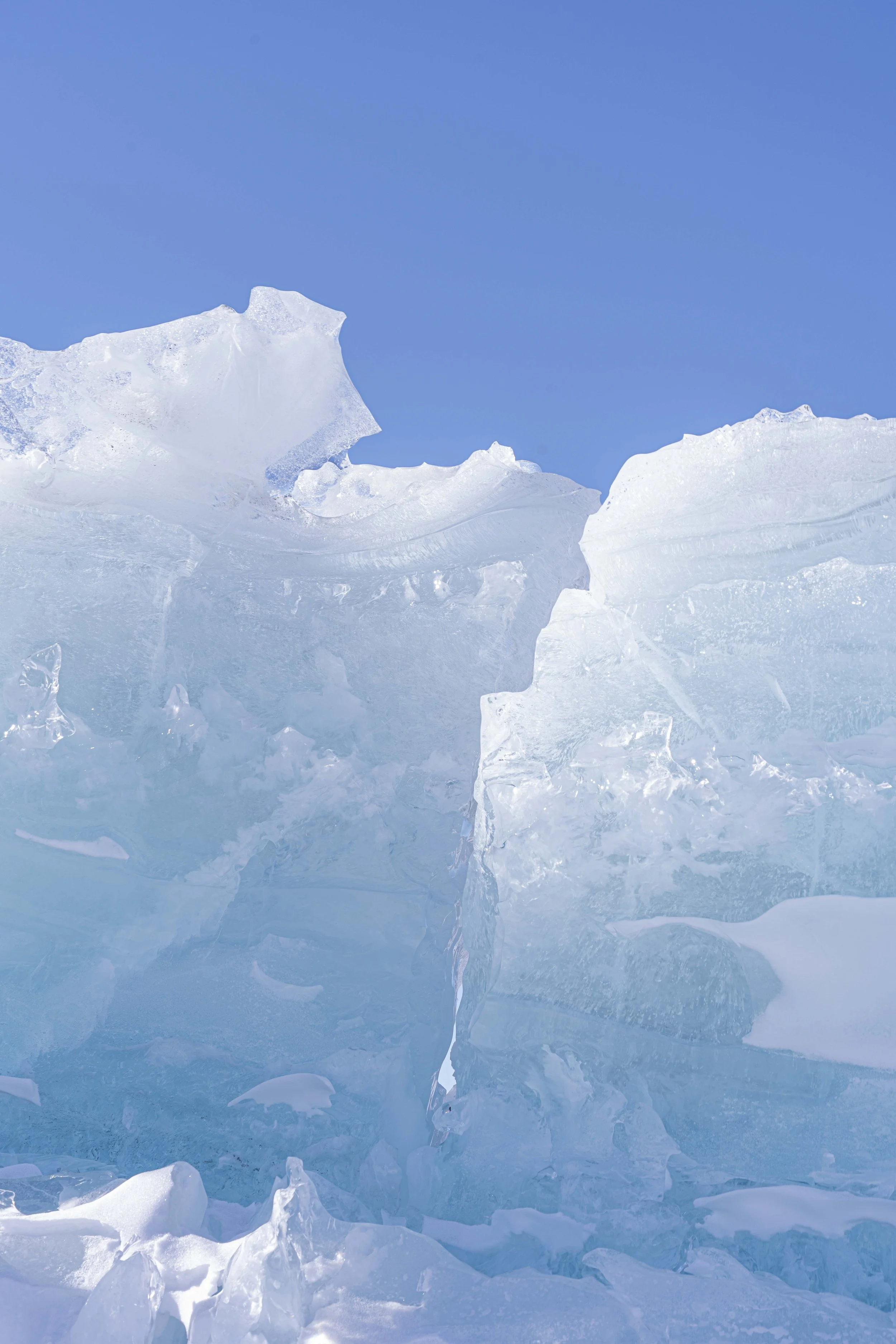 Alaska2026-492.jpg