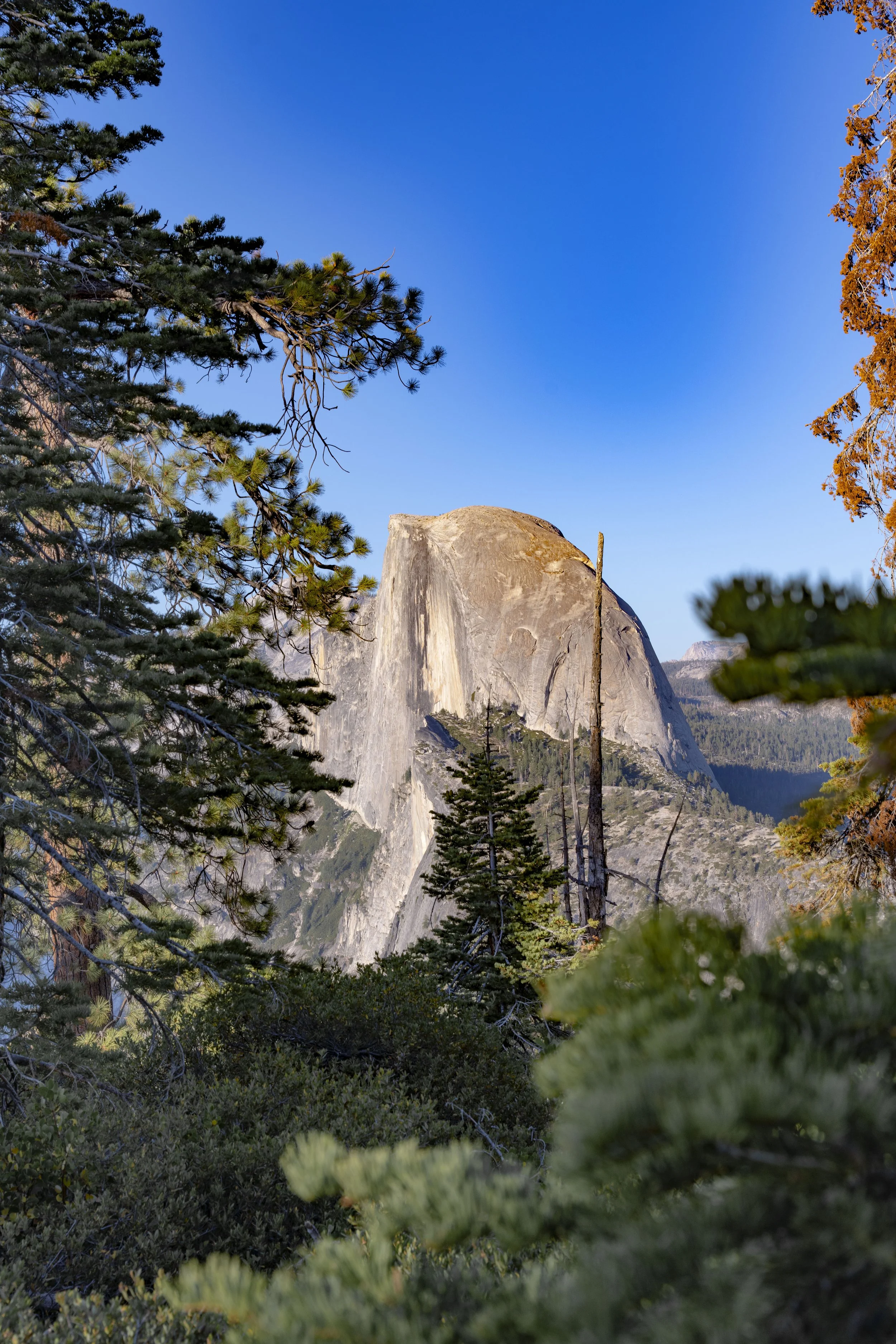 Yosemite(Aug1-3)-156.jpg