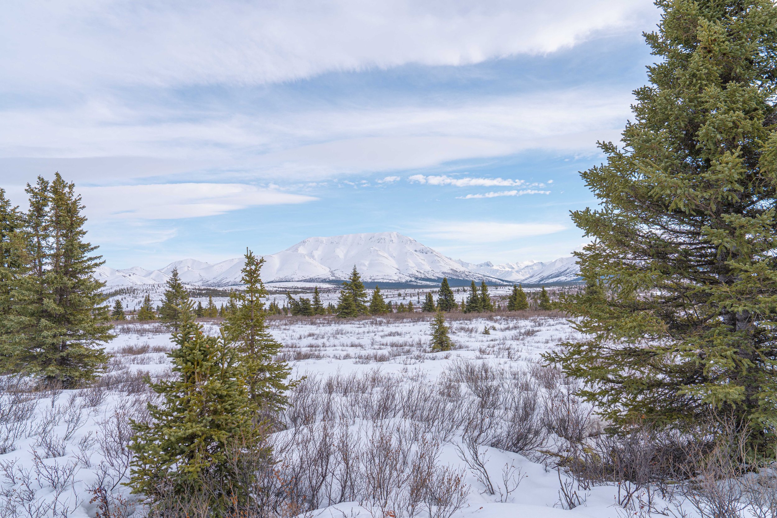 Alaska-251.jpg