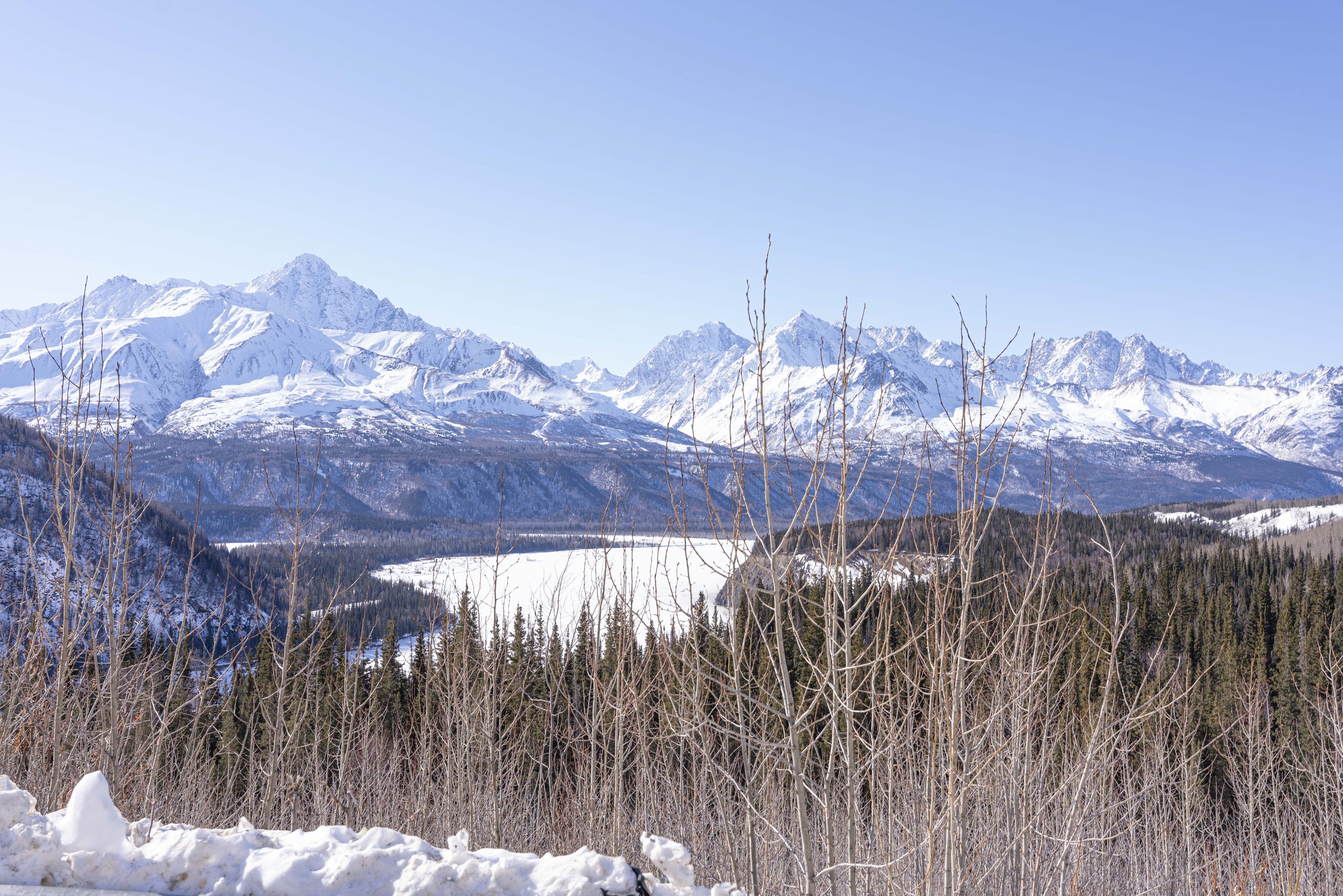 Alaska2026-299.jpg