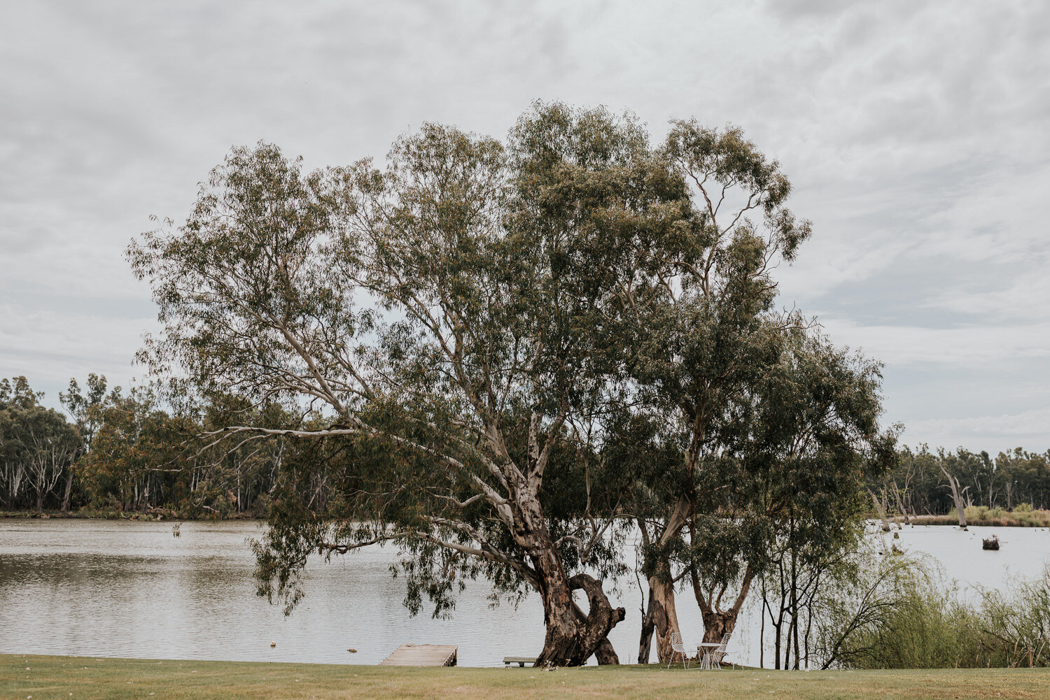 Wedding-photography-All-Saints-Winery- Wahgunyah-Bundalong-1.jpg