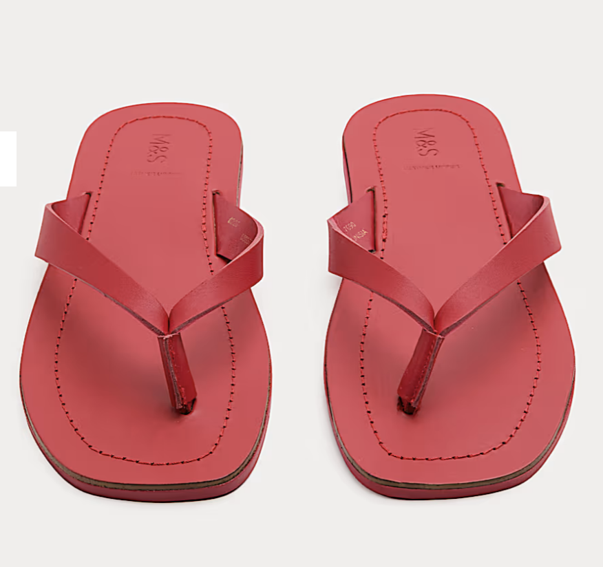 Screenshot 2026-02-19 at 12.20.14 pm.png