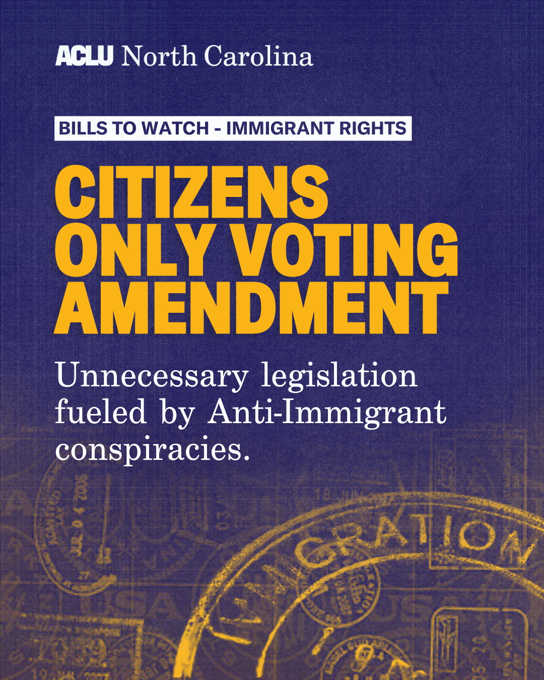 ACLU 2024 - anti-immigration legislation.png