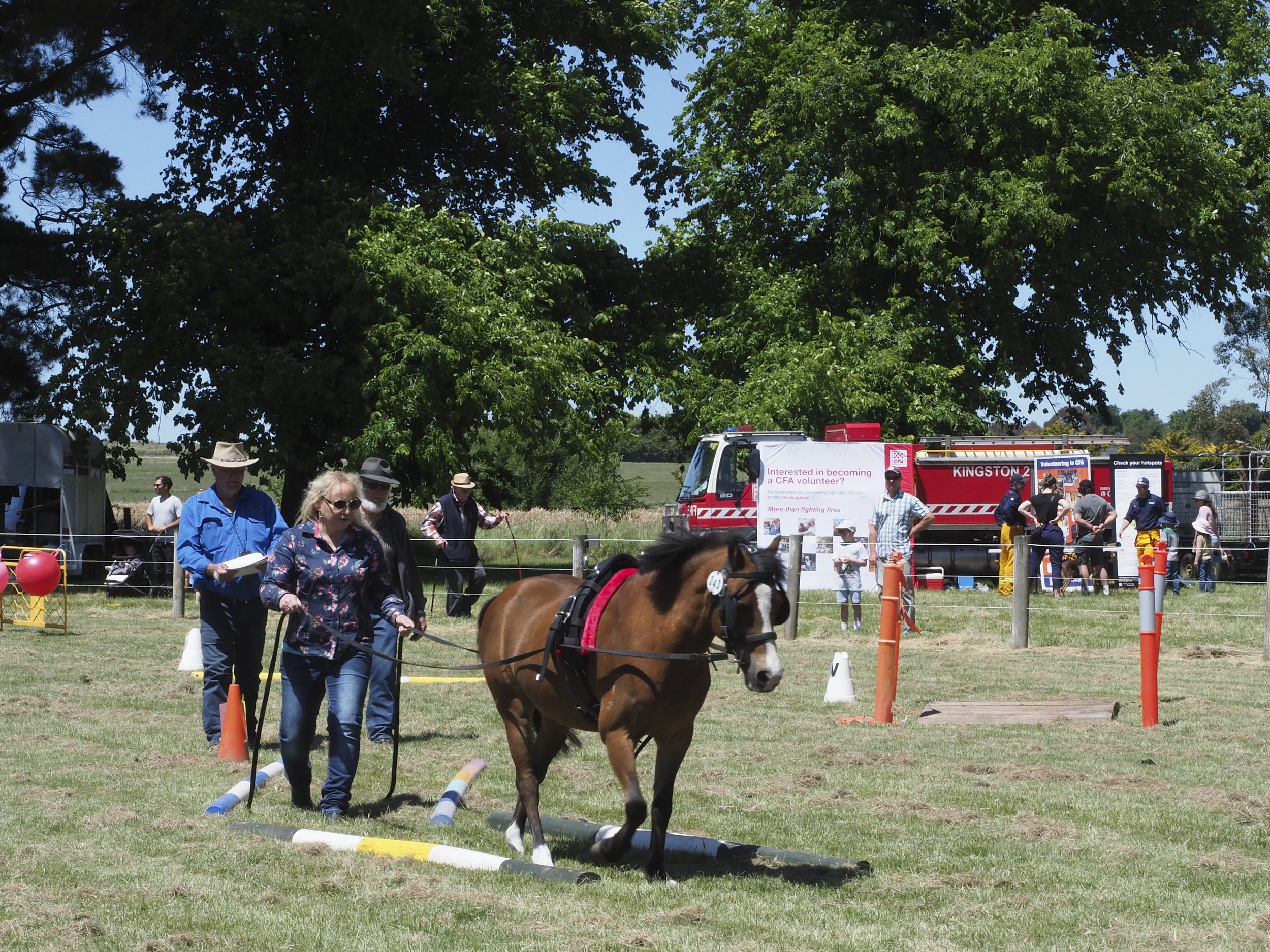 Horse Events 10.jpg