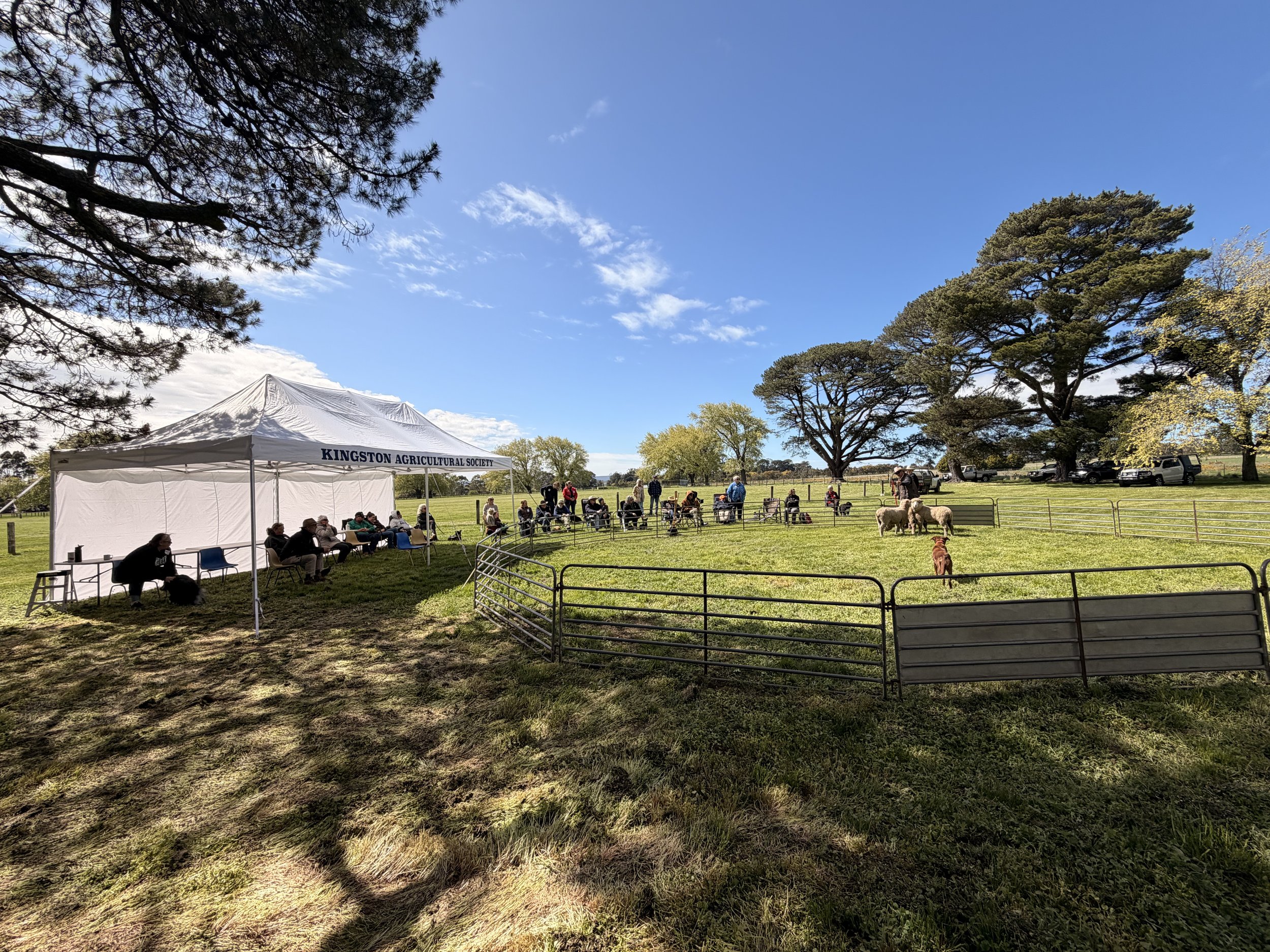 Working Dog Training School