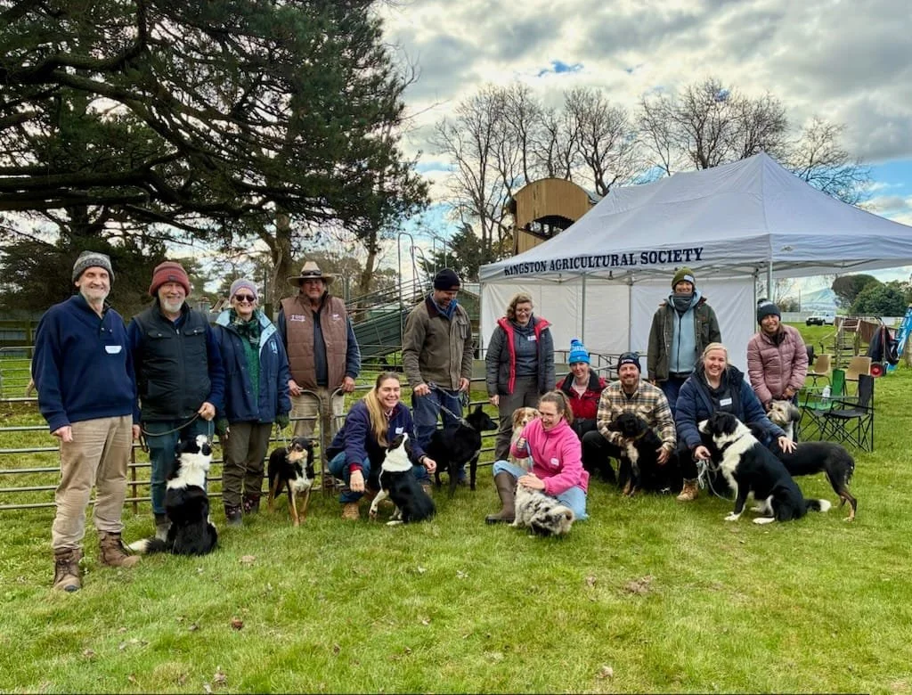 Working Dog Training 2026 (2).jpeg