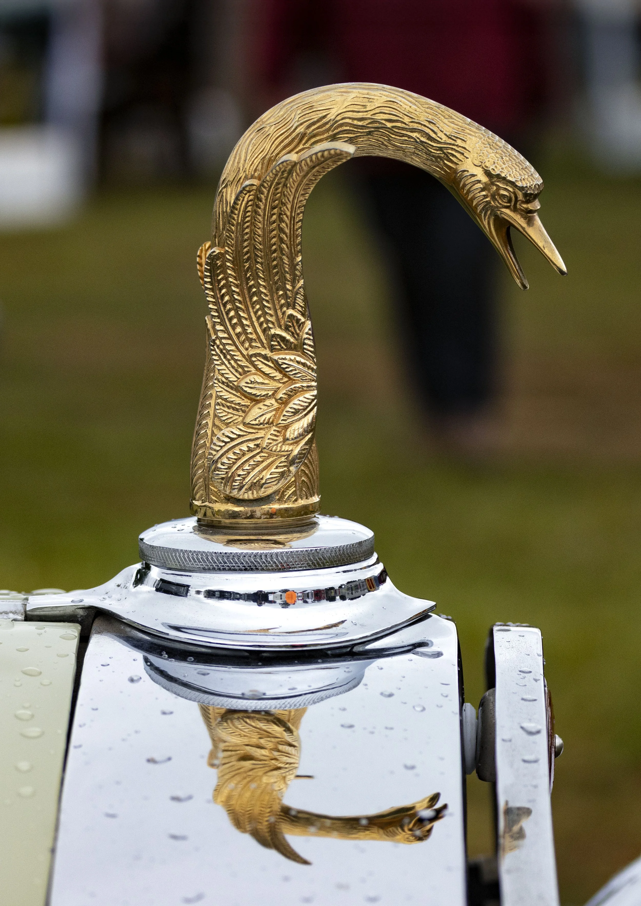 Photo courtesy Lindsay Cooke