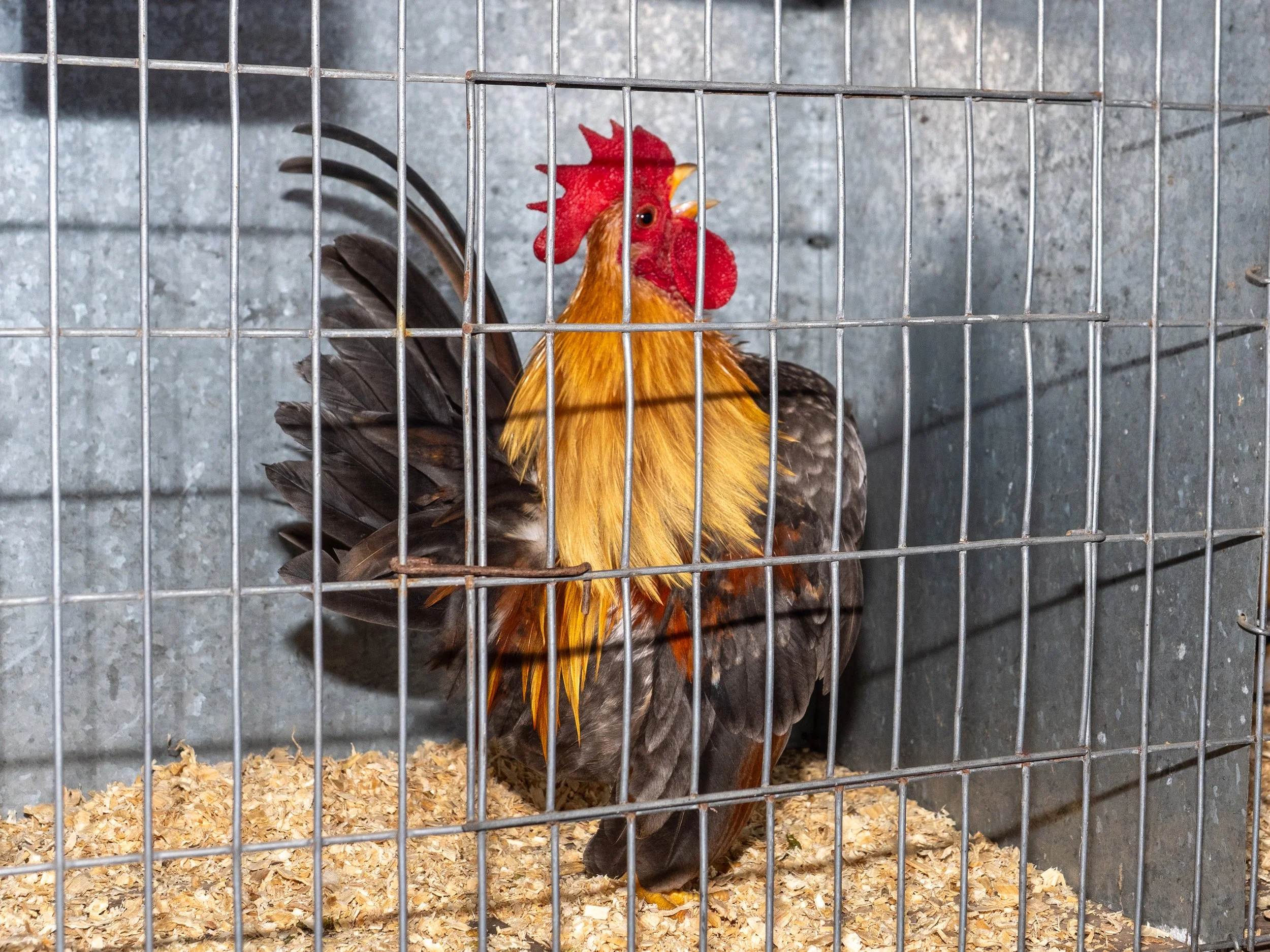 Photo courtesy Kim James Photography