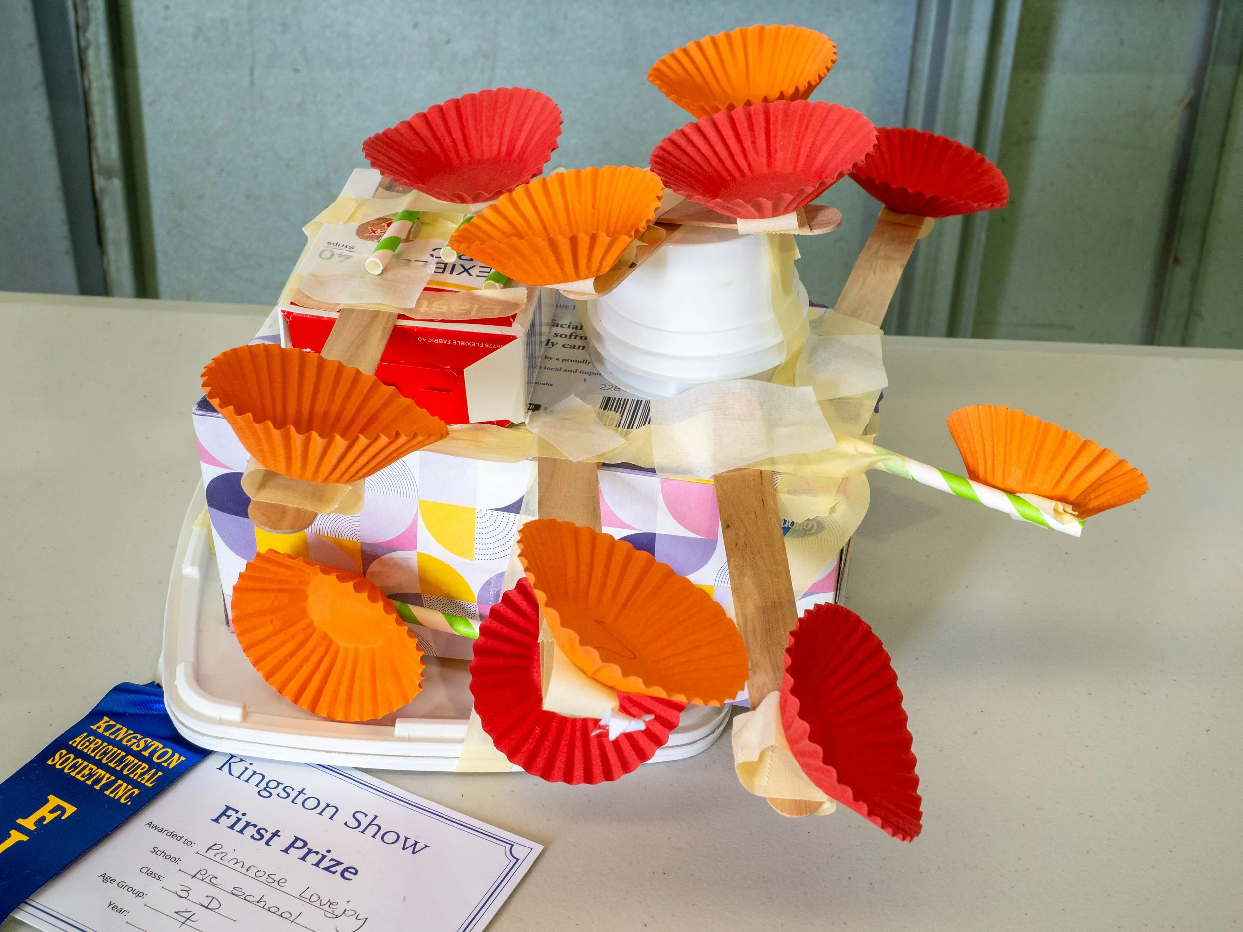 Photo courtesy Kim James Photography