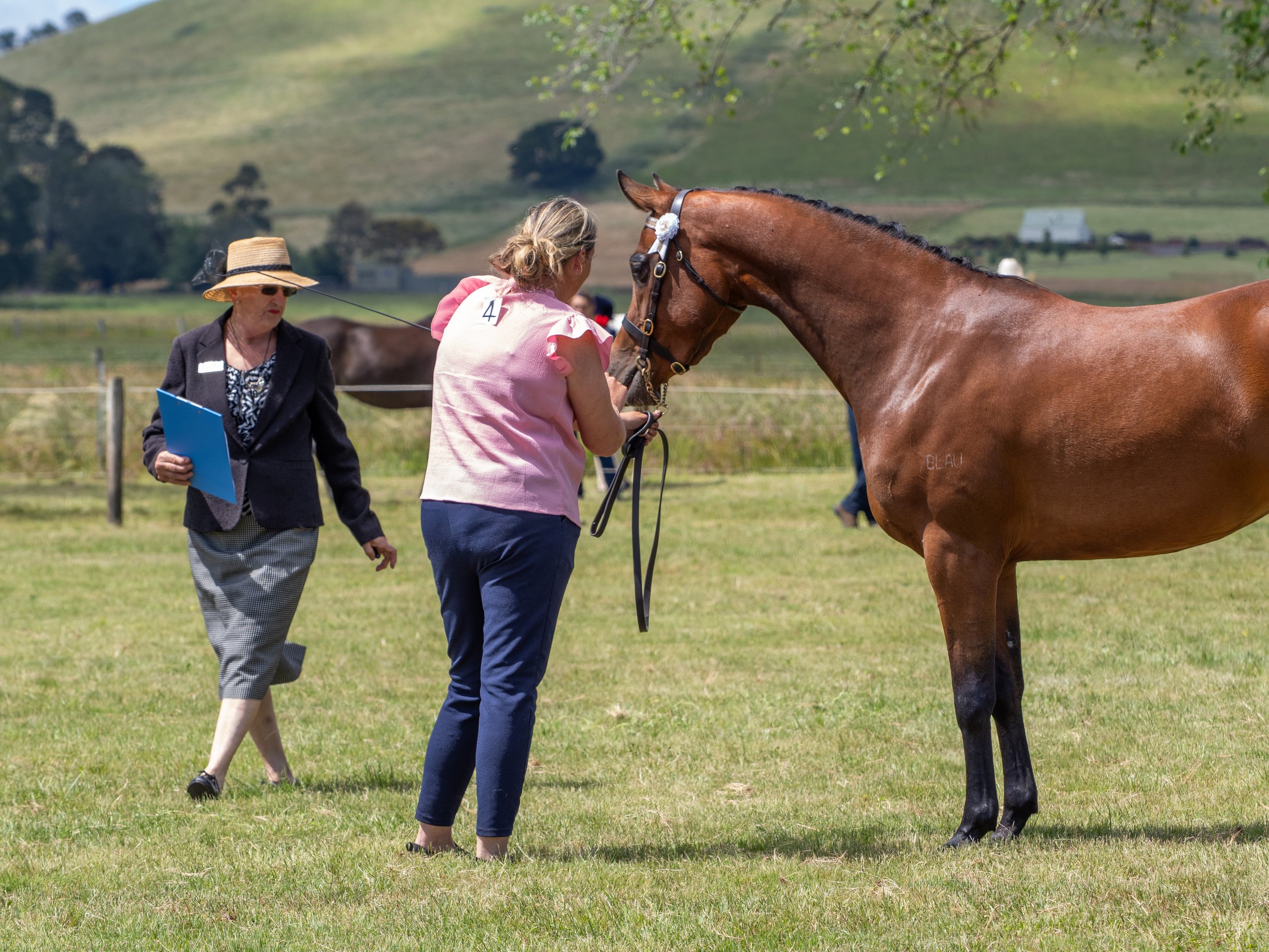 Photo courtesy Kim James Photography