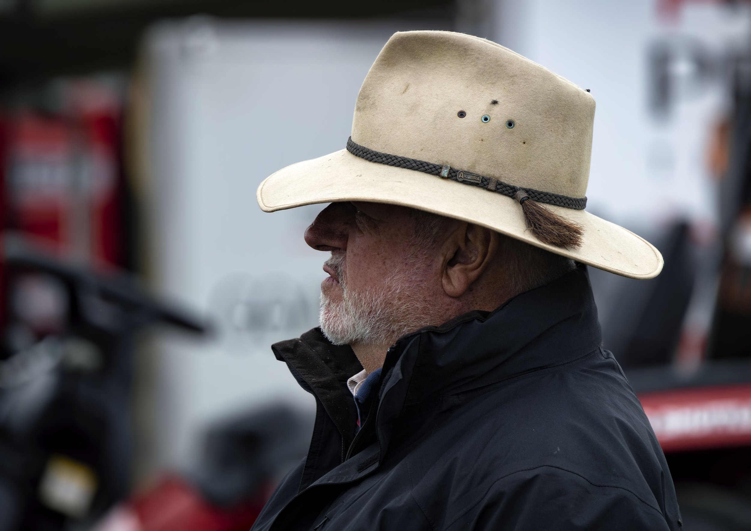 Photo courtesy Lindsay Cooke