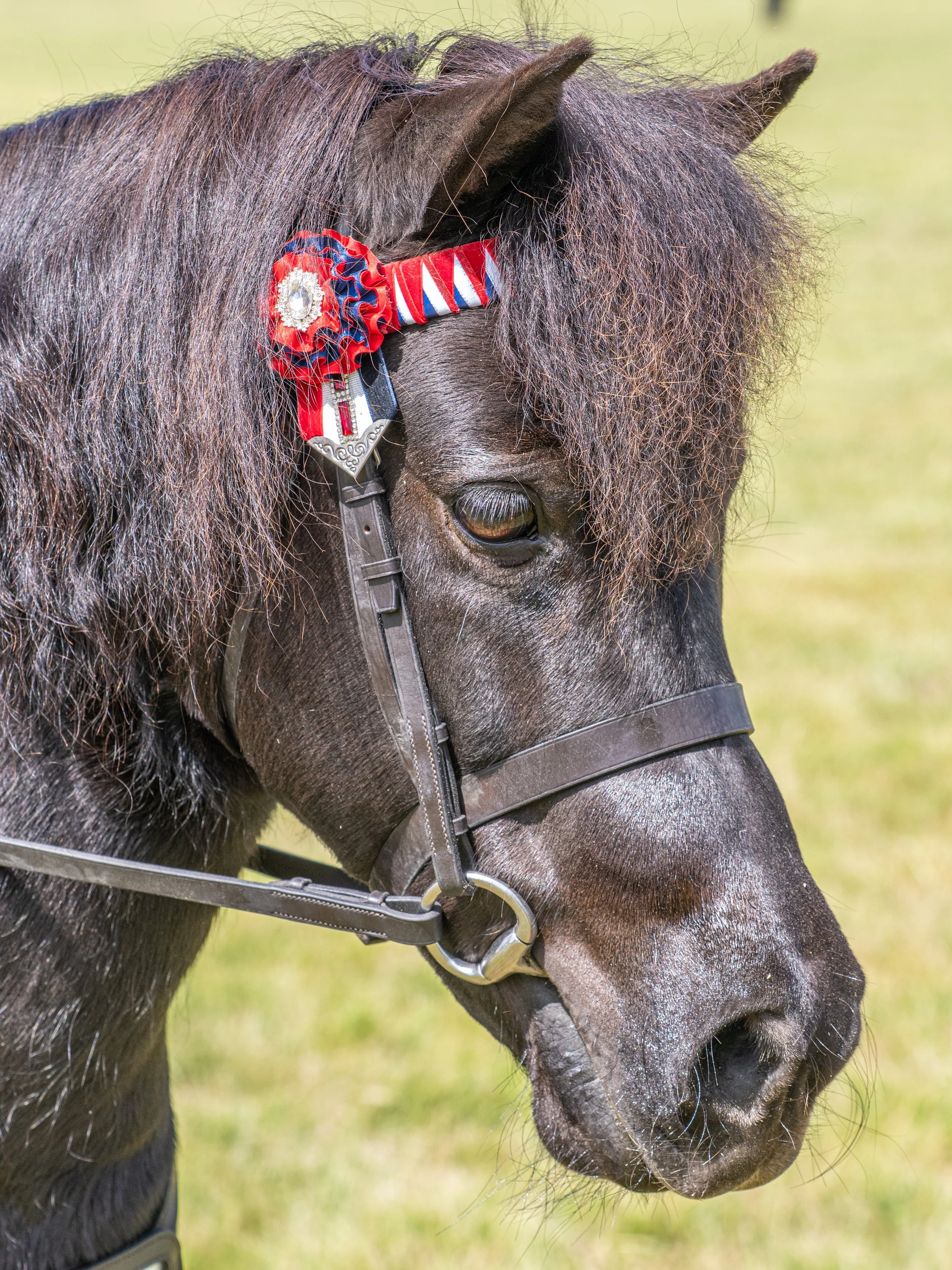 Photo courtesy Kim James Photography