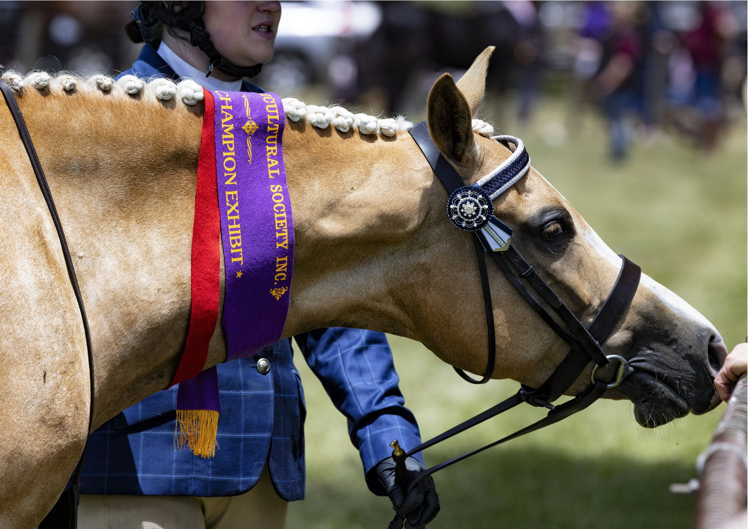 Photo courtesy Lindsay Cooke