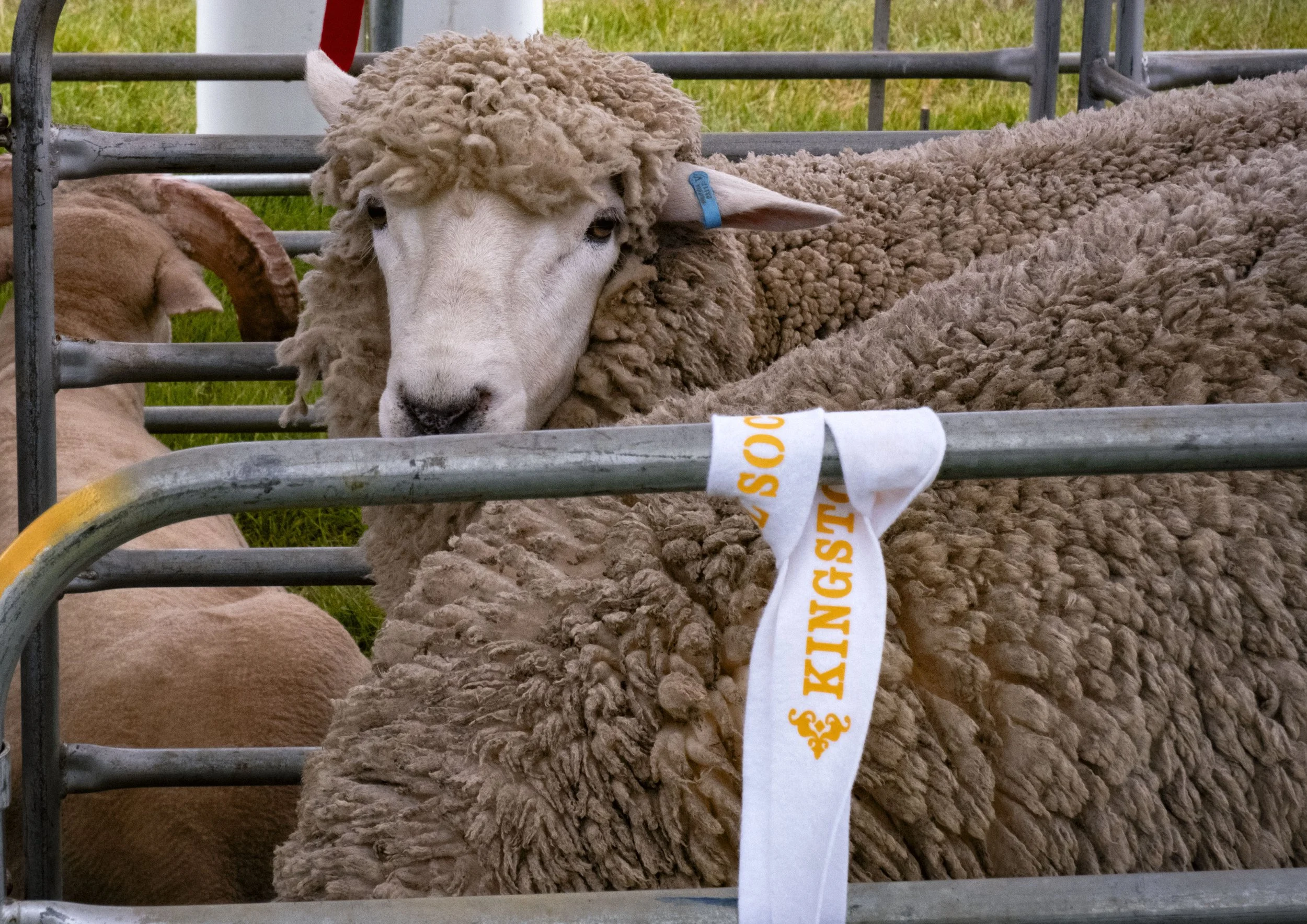 Photo courtesy Lindsay Cooke