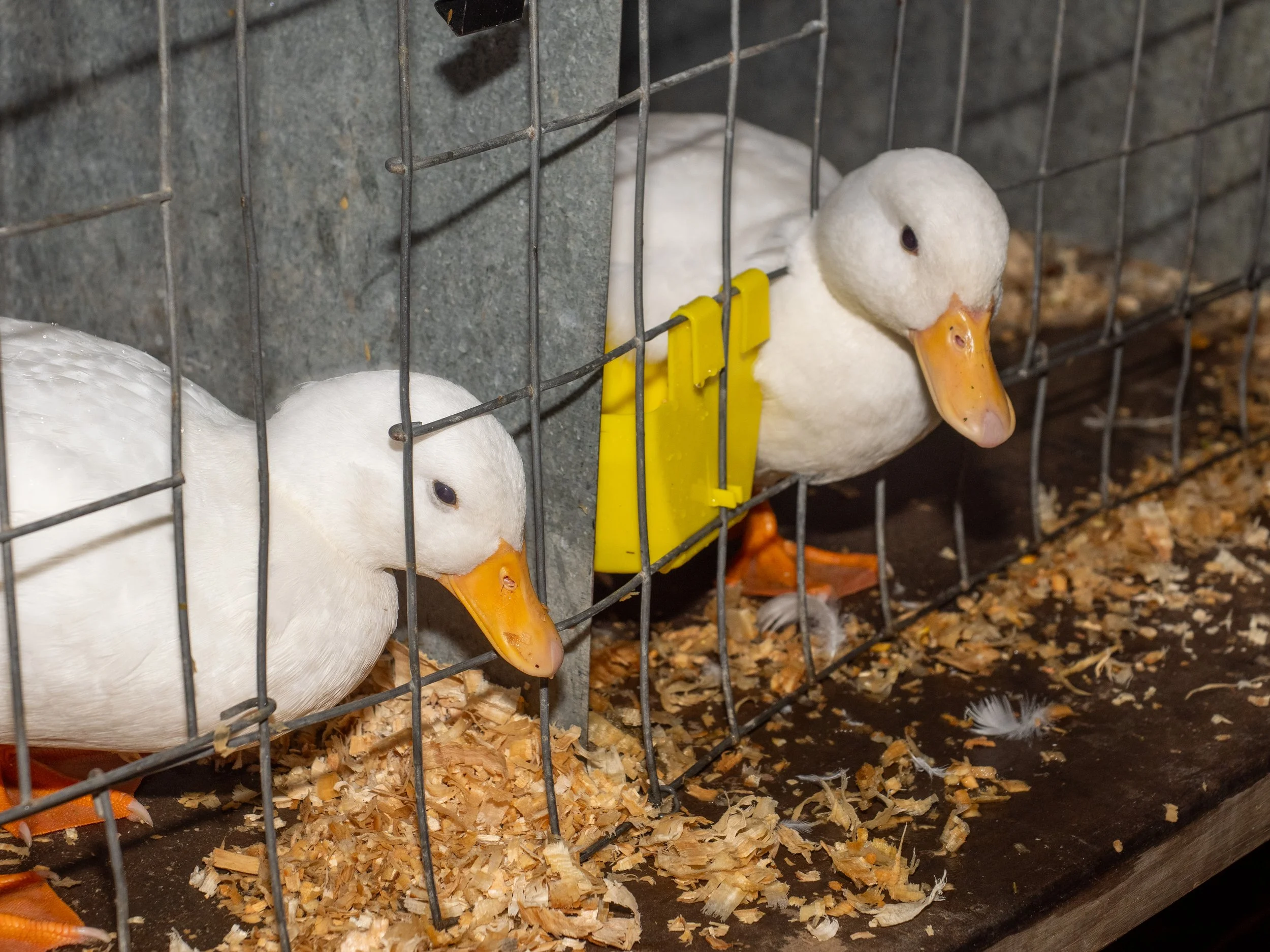 Photo courtesy Kim James Photography