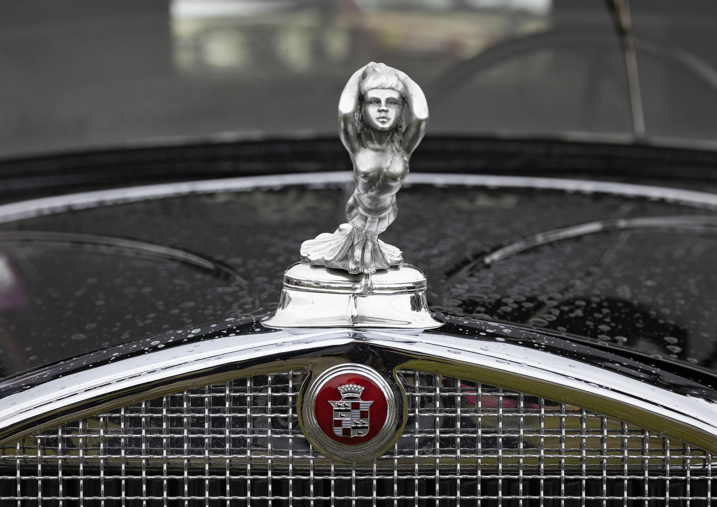 Photo courtesy Lindsay Cooke