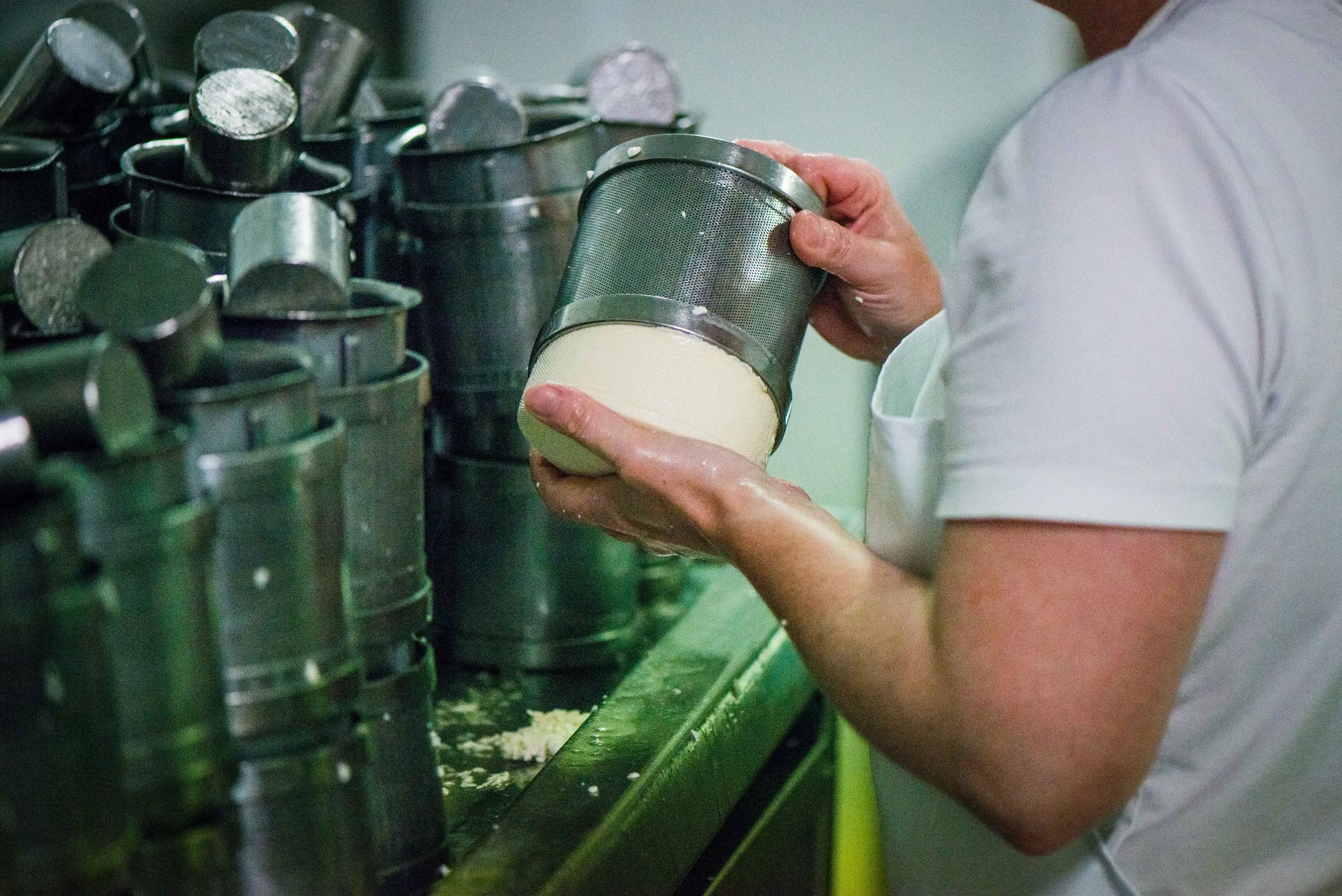 Dairy-118.jpg