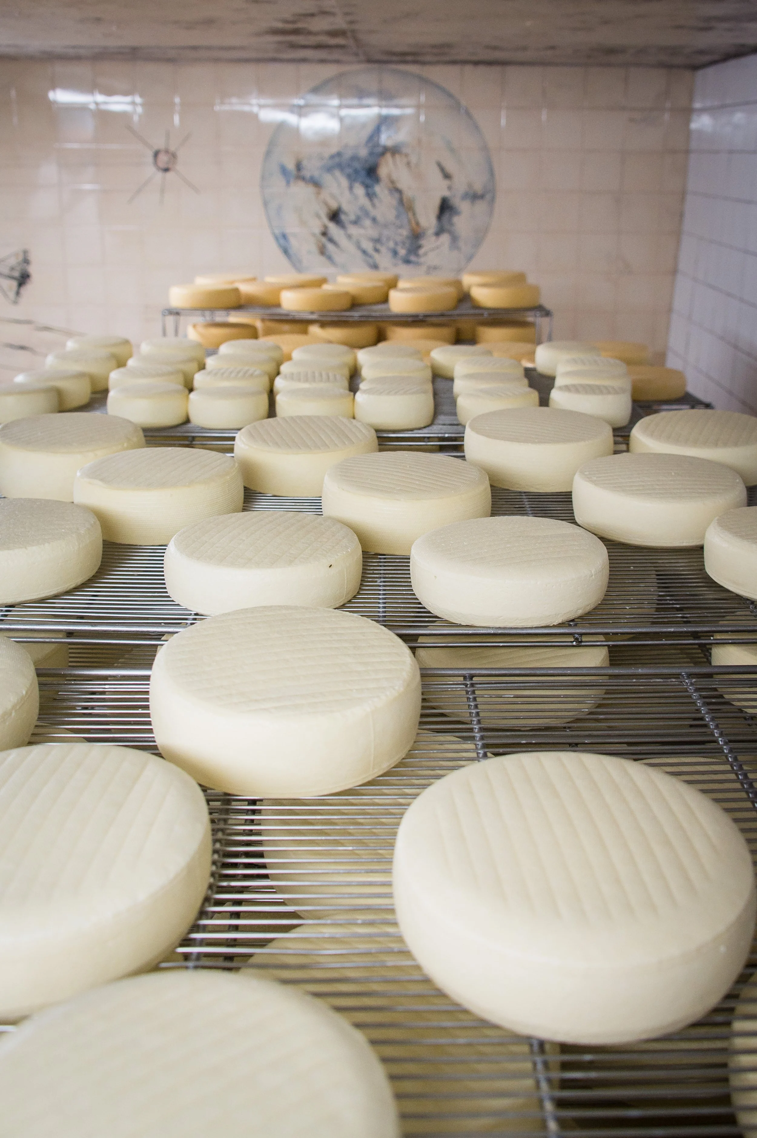 Dairy-9.jpg