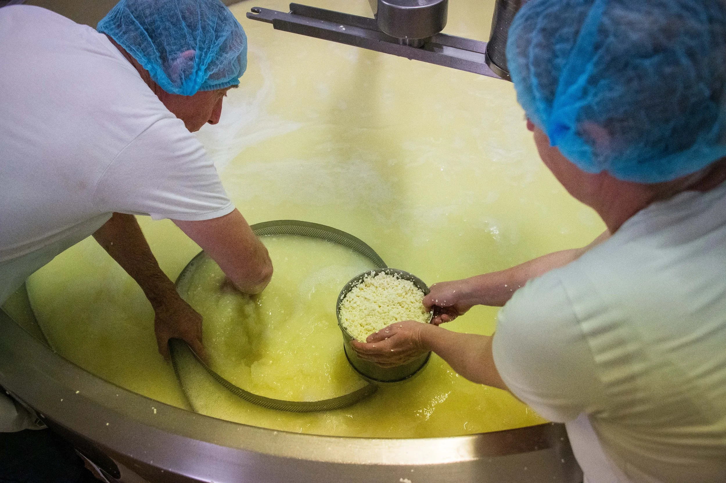 Dairy-113.jpg