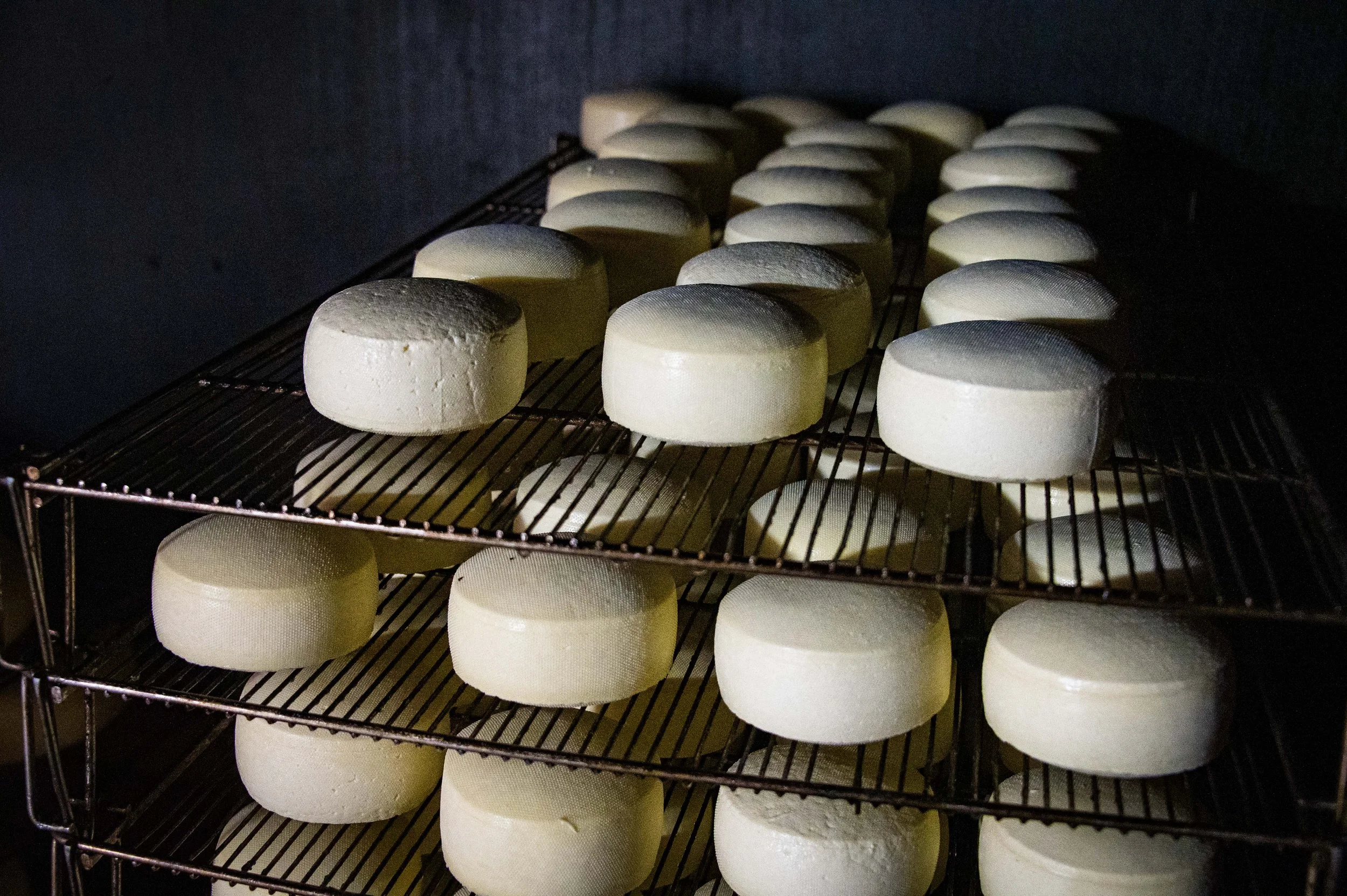 Dairy-14.jpg