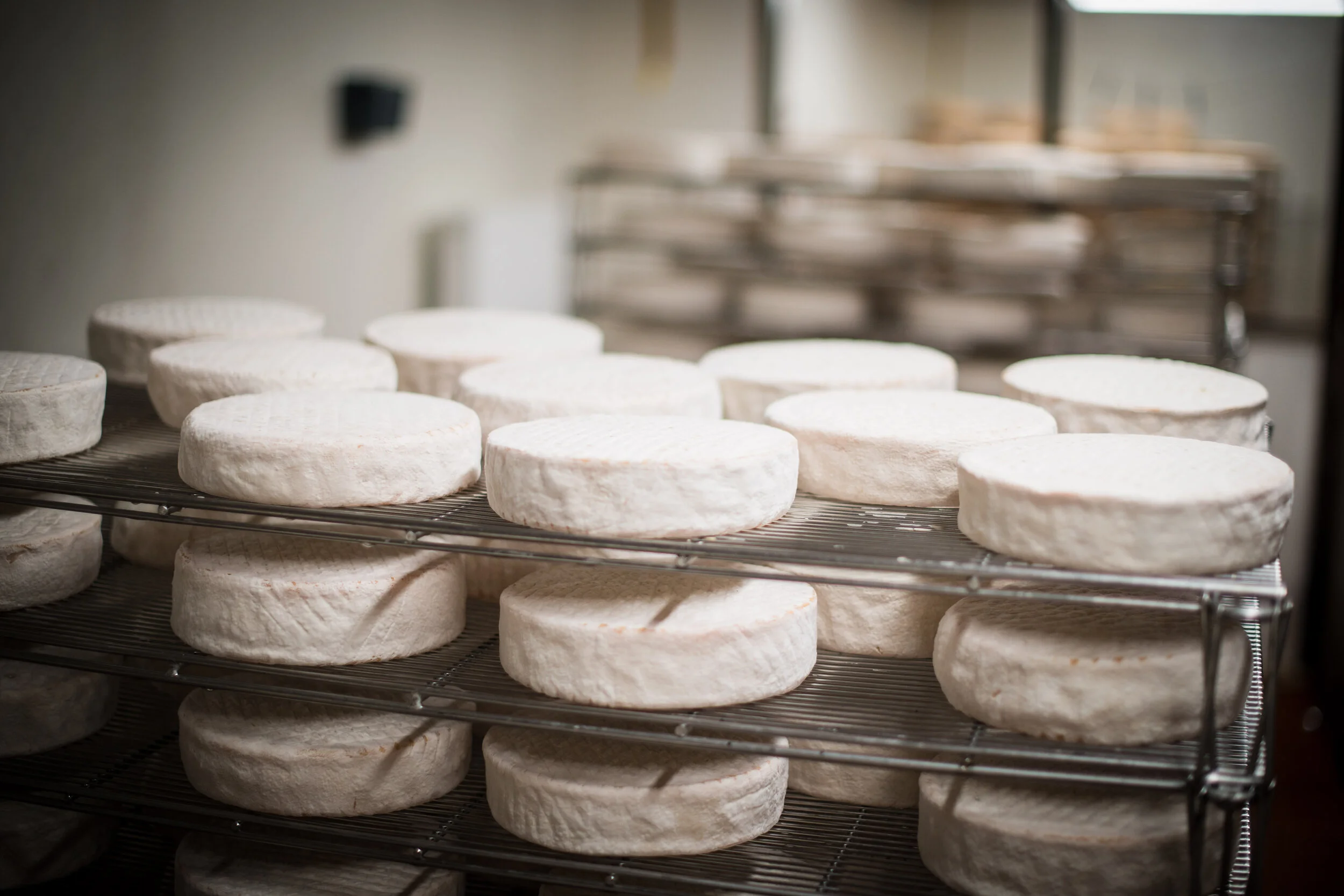 Dairy-23.jpg