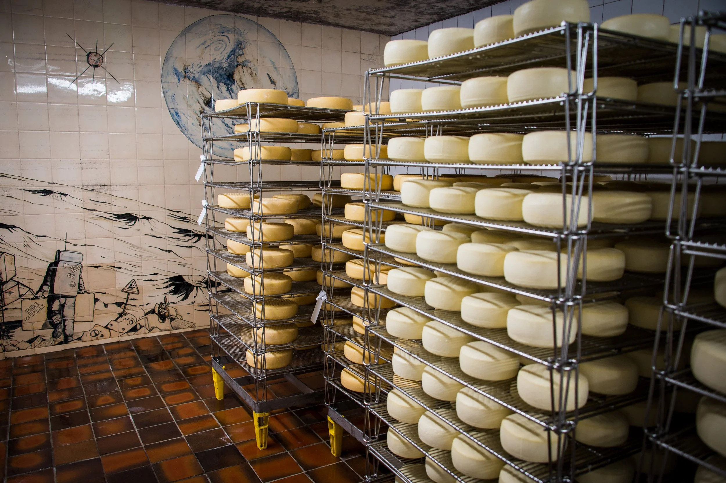 Dairy-10.jpg