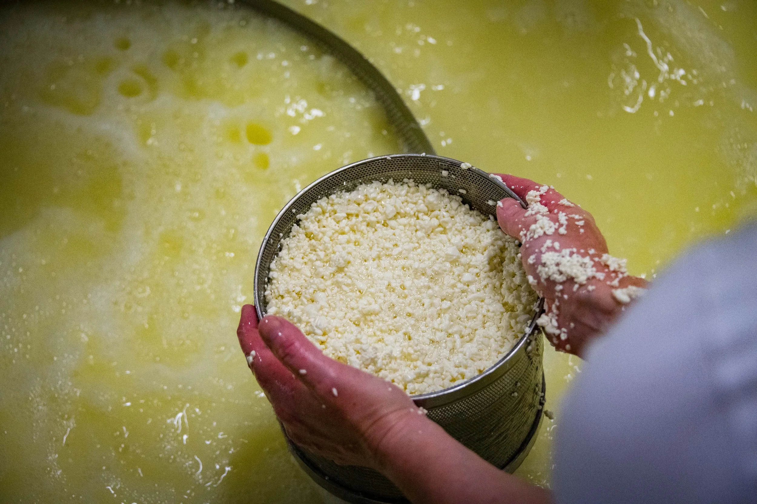 Dairy-116.jpg