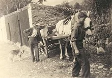 farm02_th.jpg
