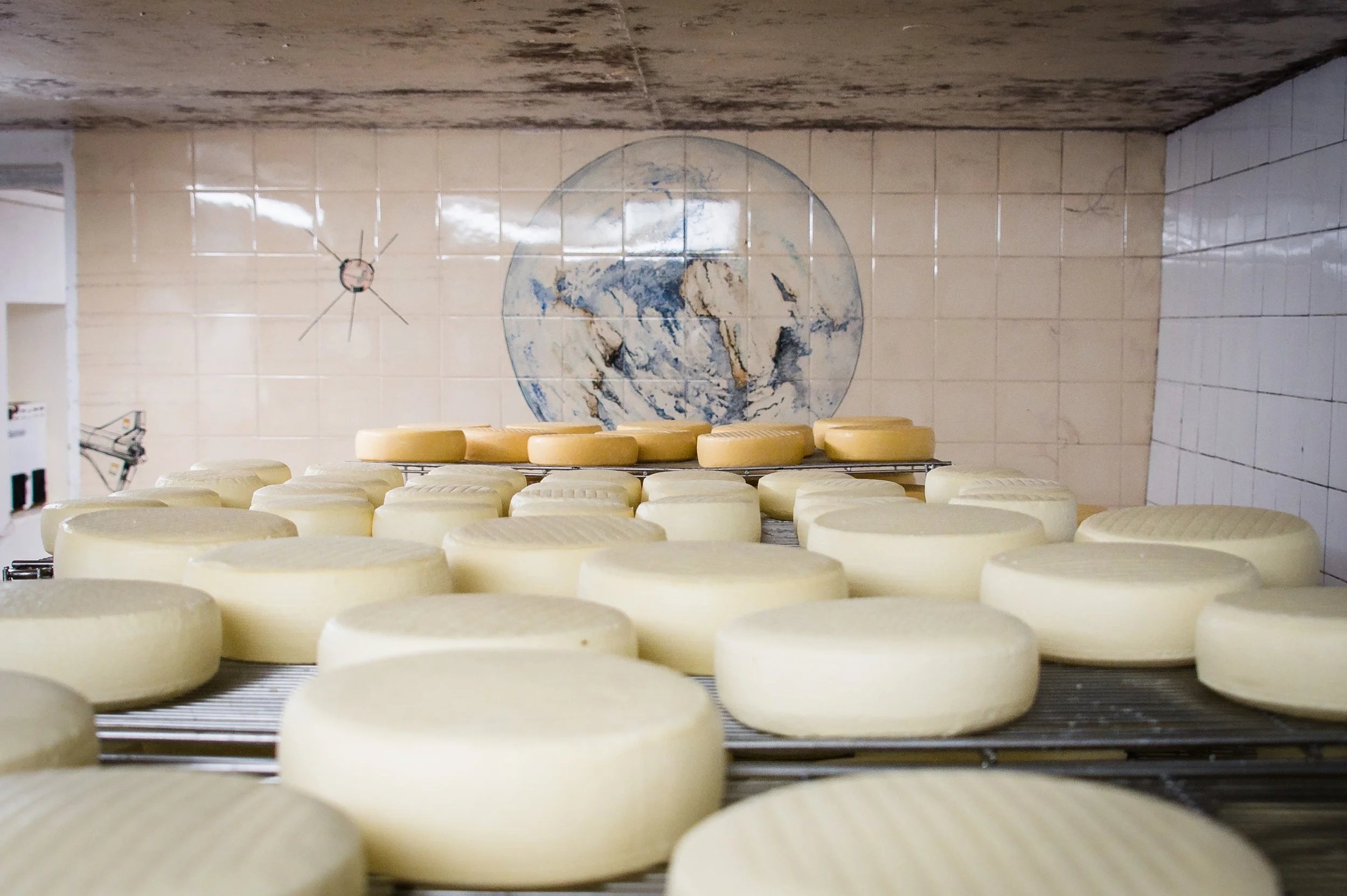 Dairy-8.jpg