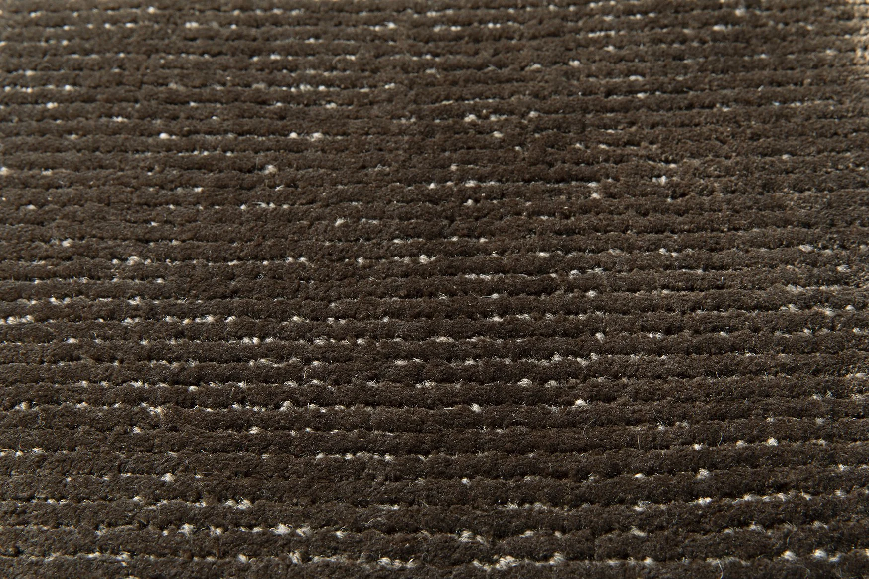 3. Folia Carob by Jacaranda P1.jpg