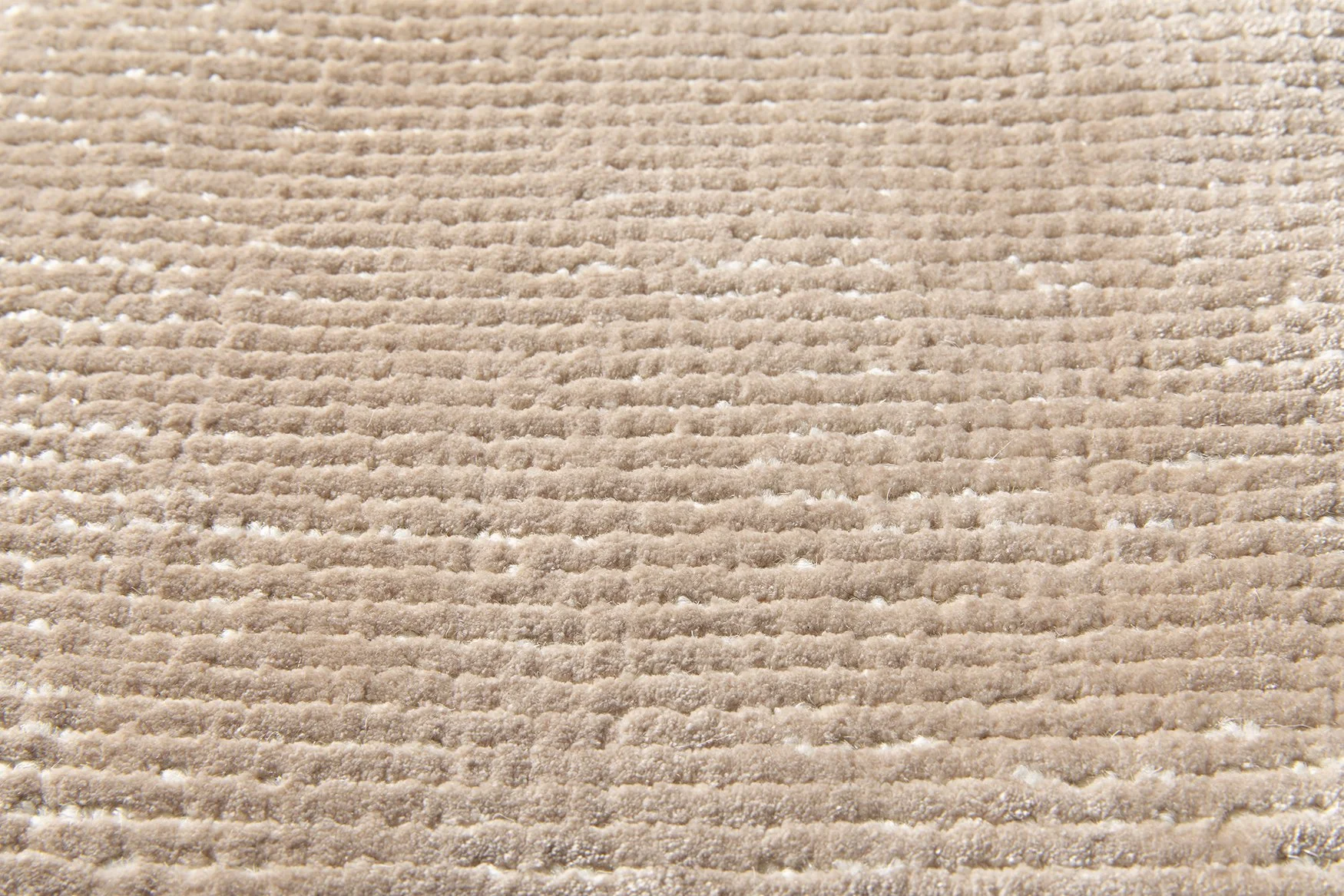 3. Folia Cameo by Jacaranda P1.jpg