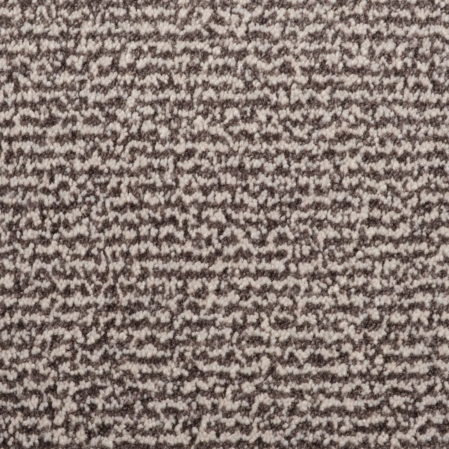 2620-630_1.jpg