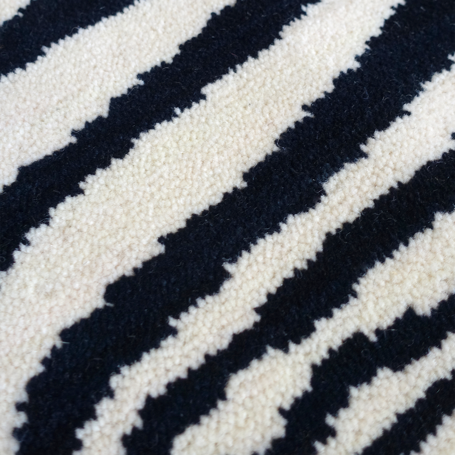 Zebre_AxS.png