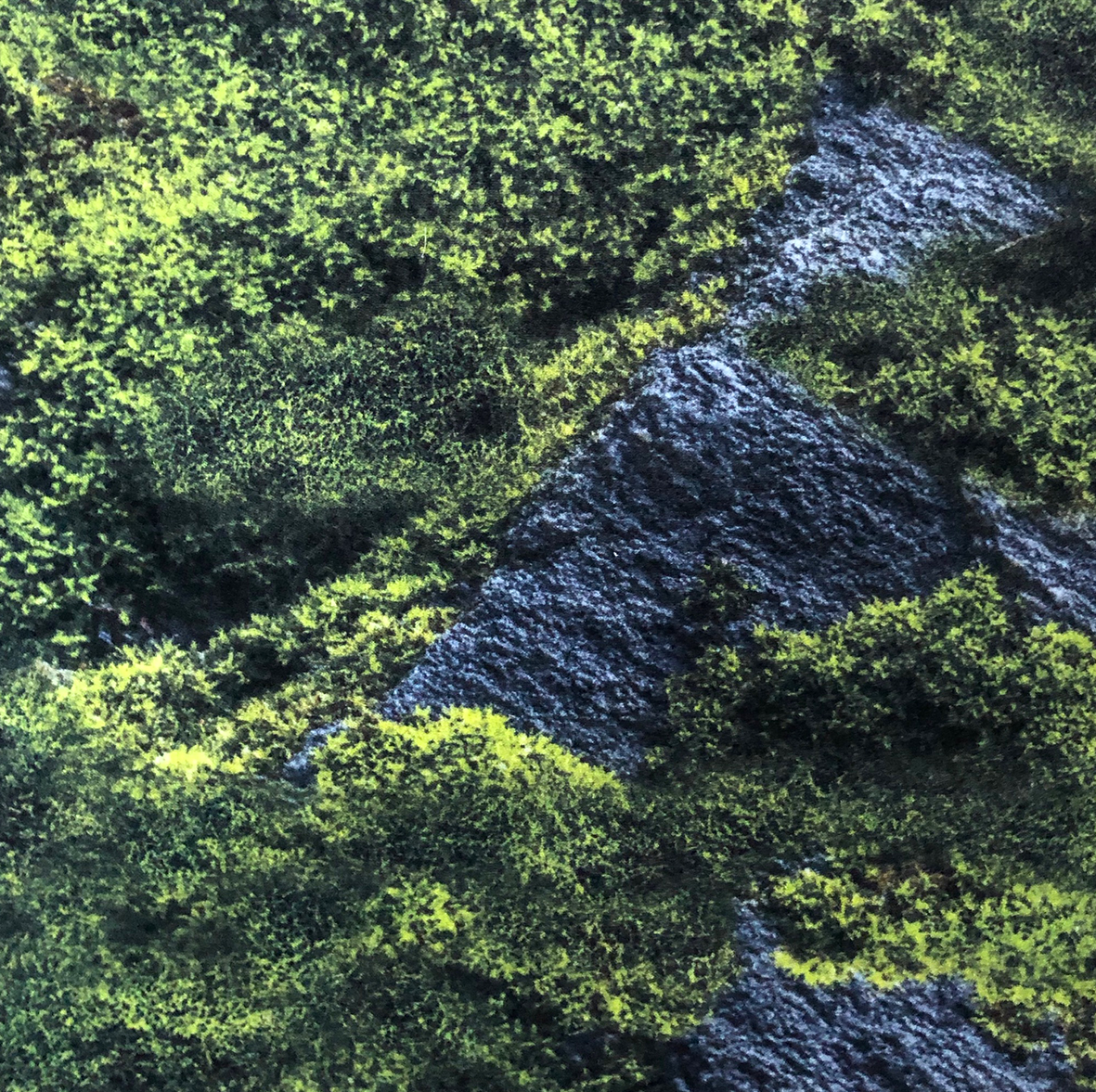 Moss.png