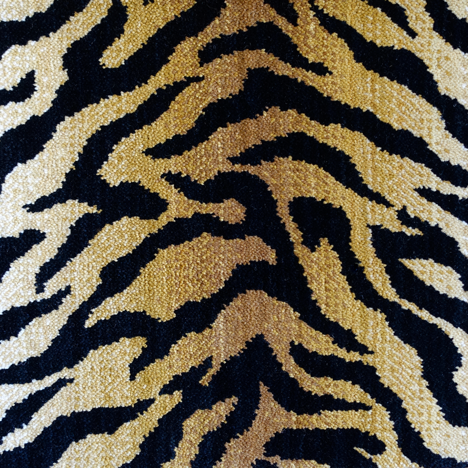 Tigre_Axminster.png