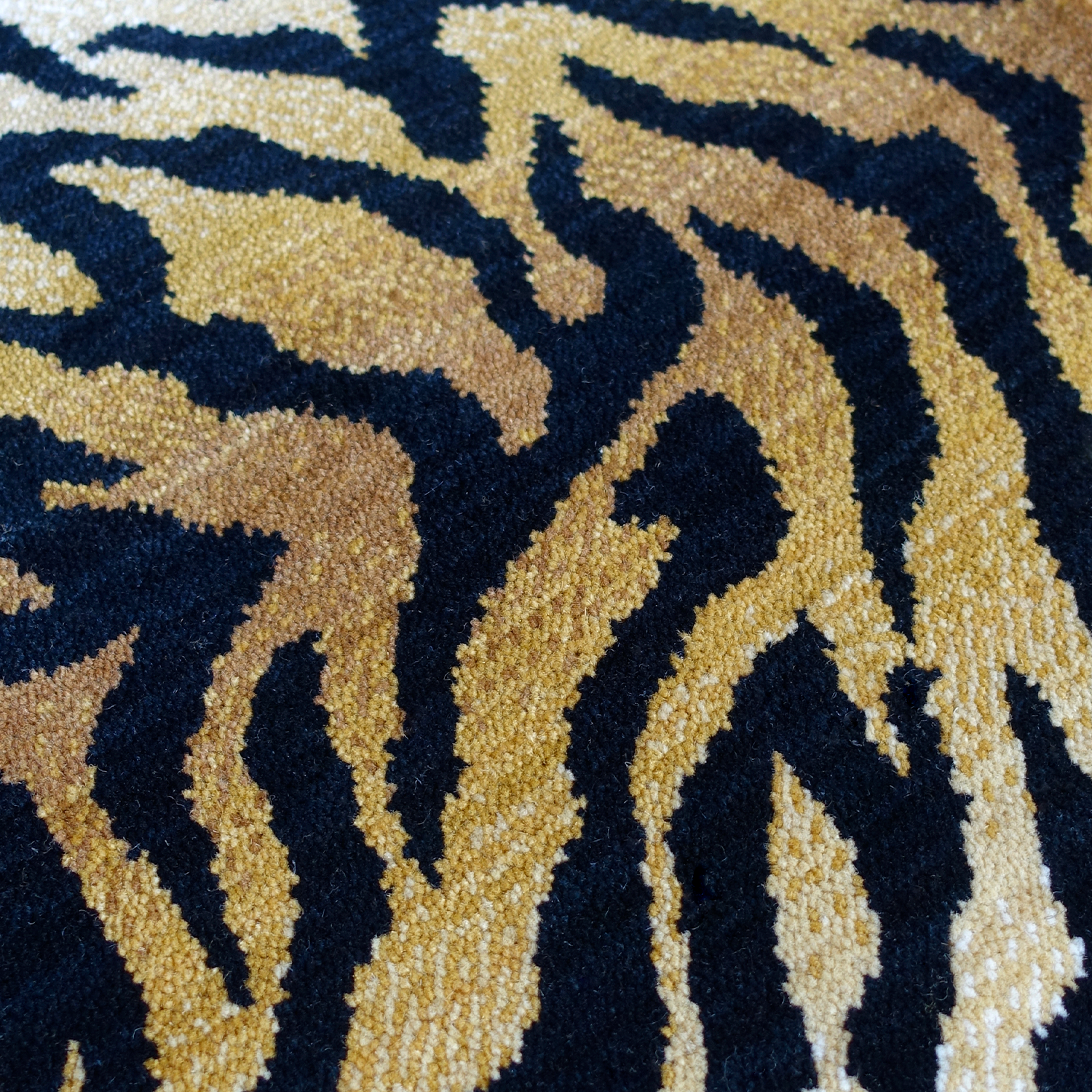 Tigre_AxS.png