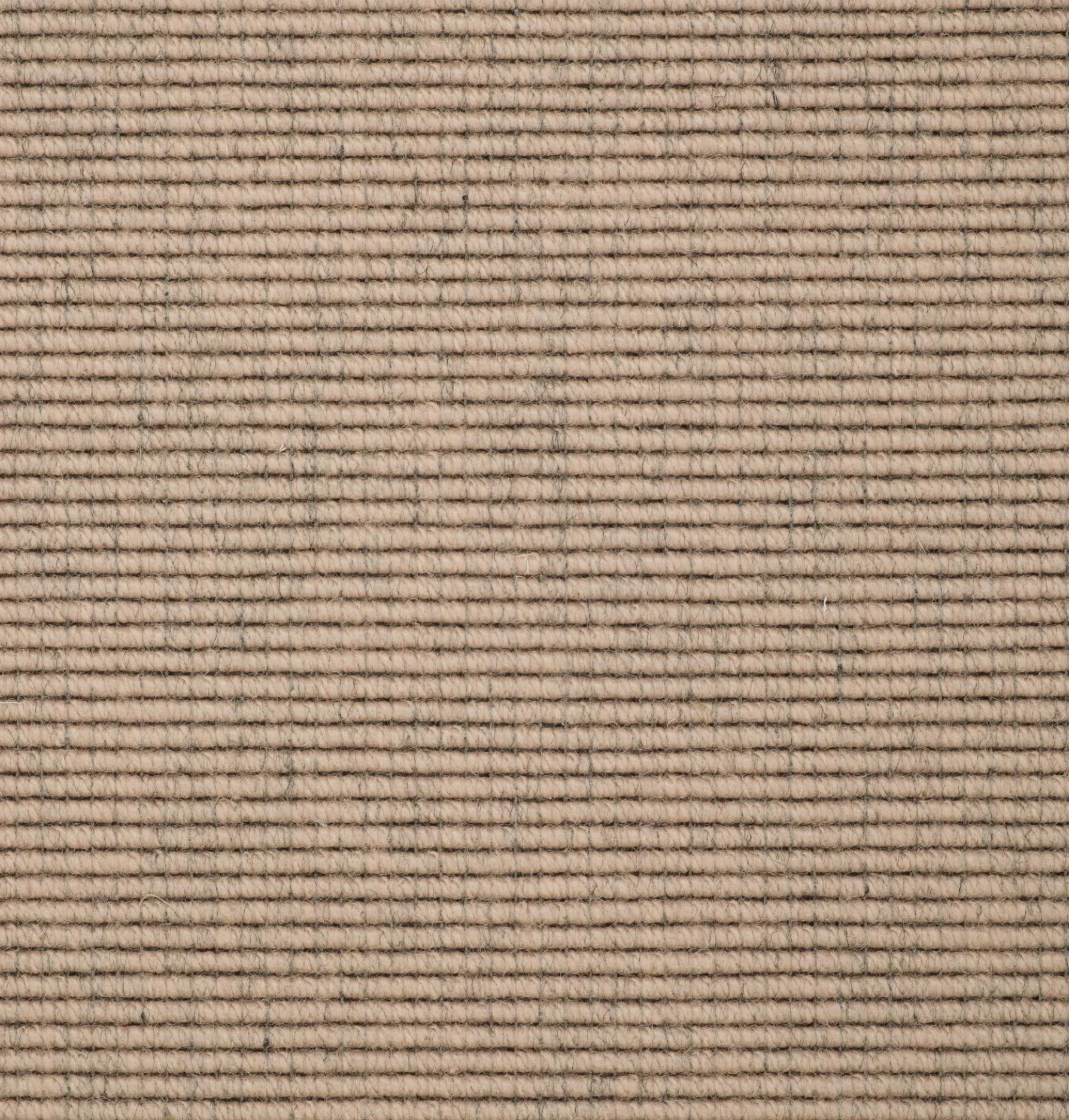 1401-050.webp
