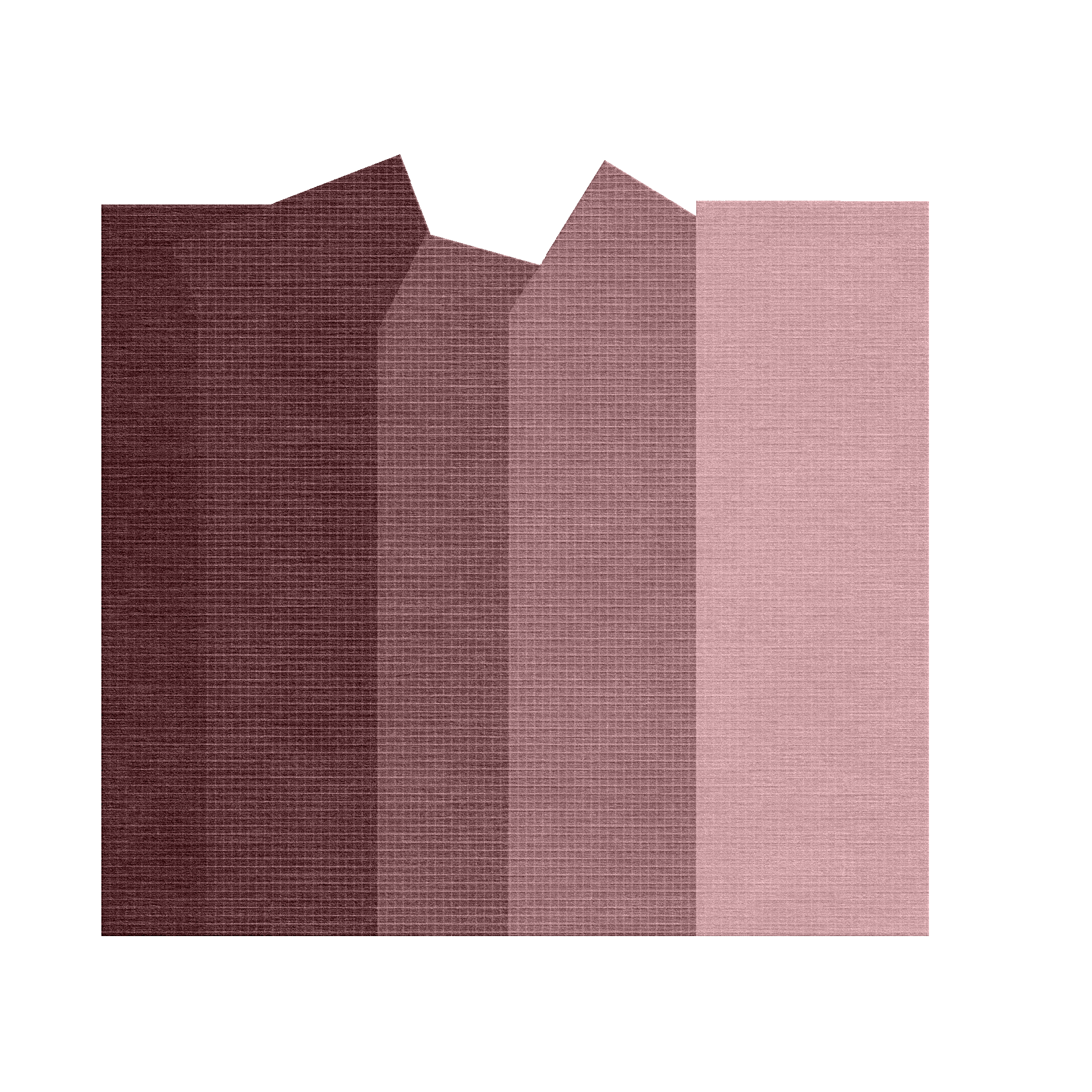 S-R25 (Visualization).png
