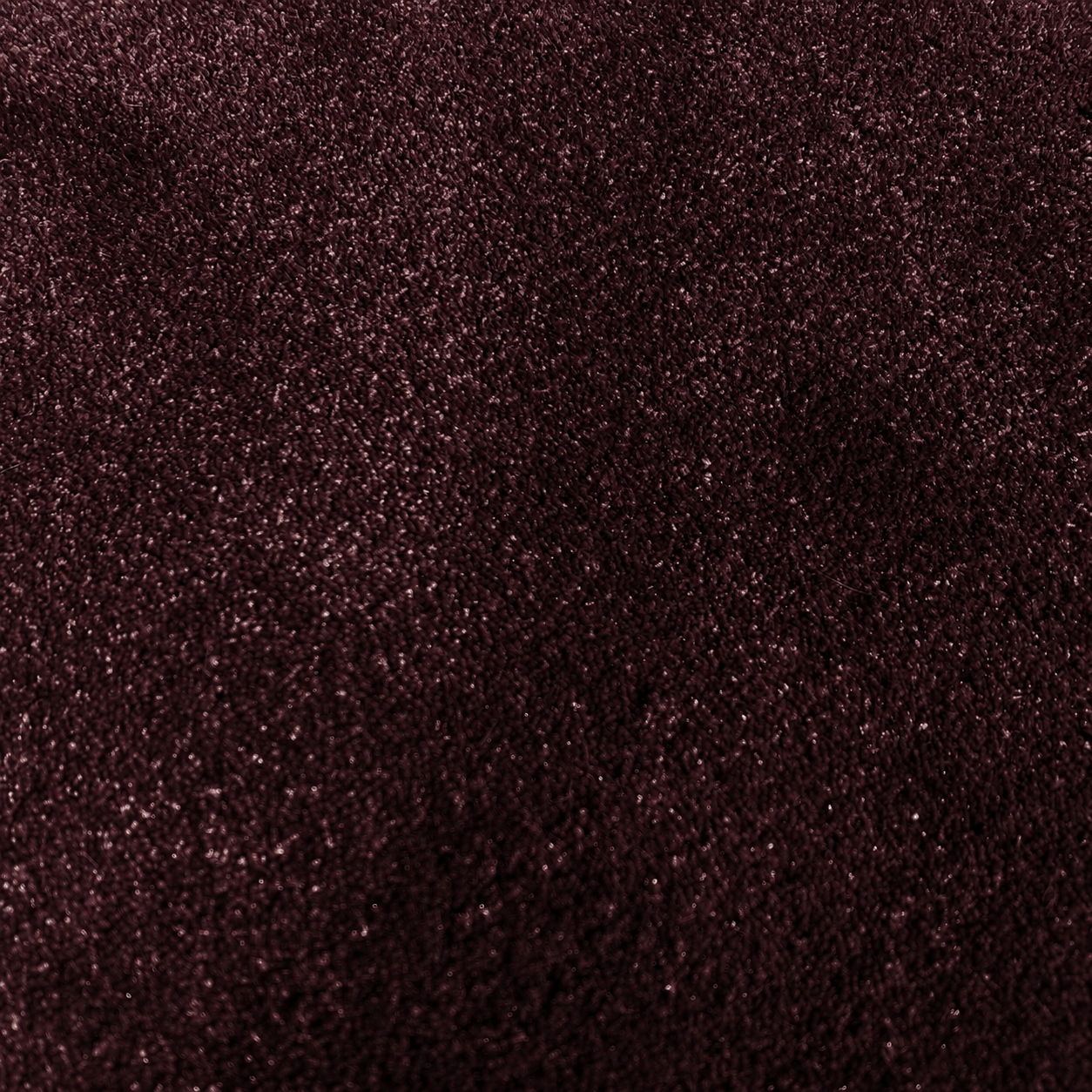 praguepurple2.png