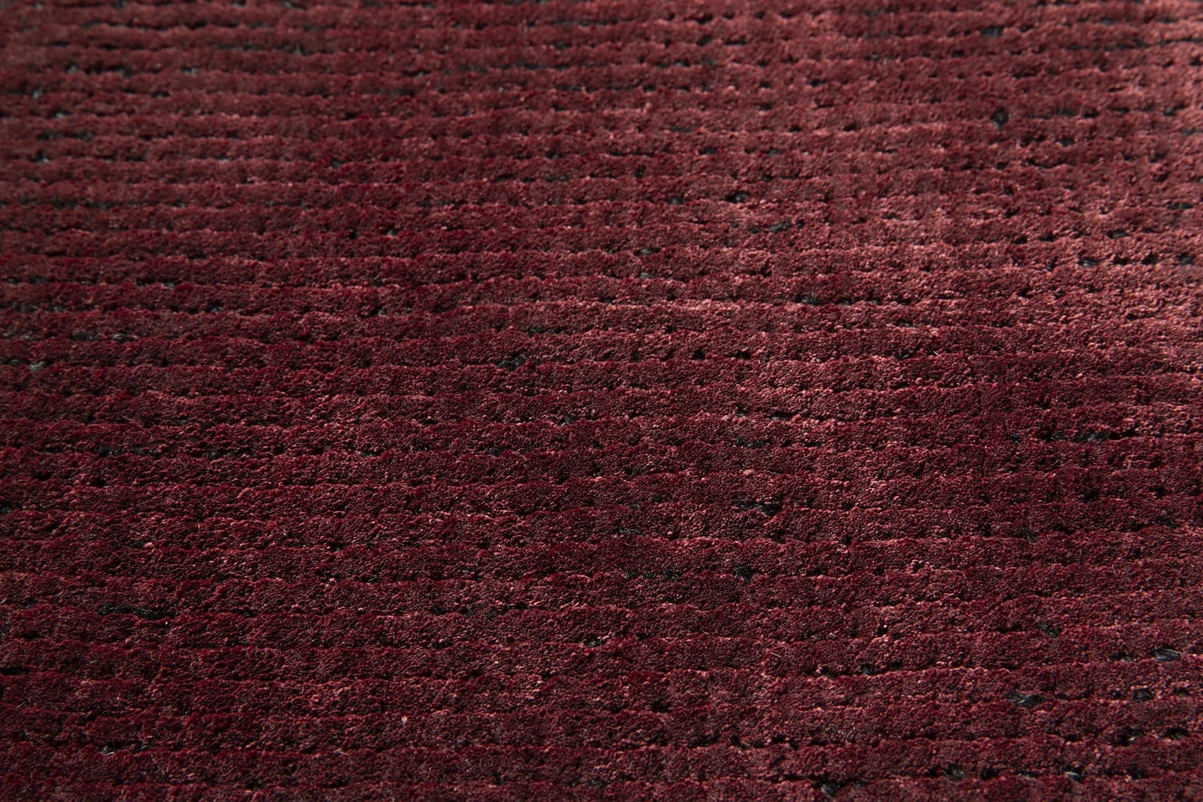 3. Folia Cardinal by Jacaranda P1.jpg
