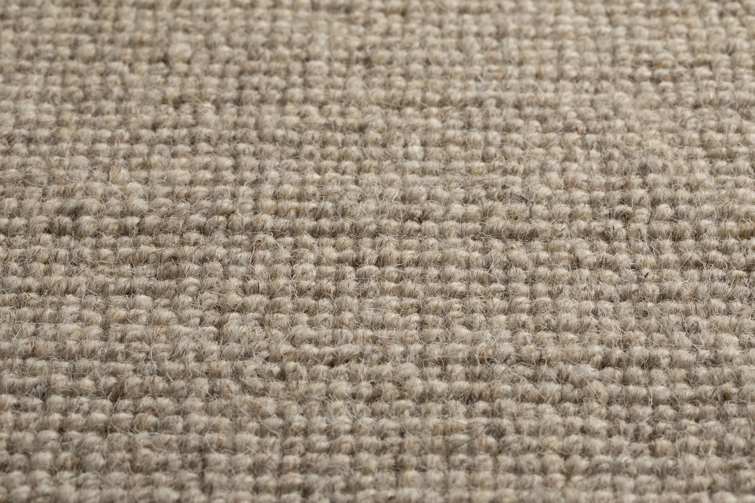3. Daiya Barley by Jacaranda P1.jpg